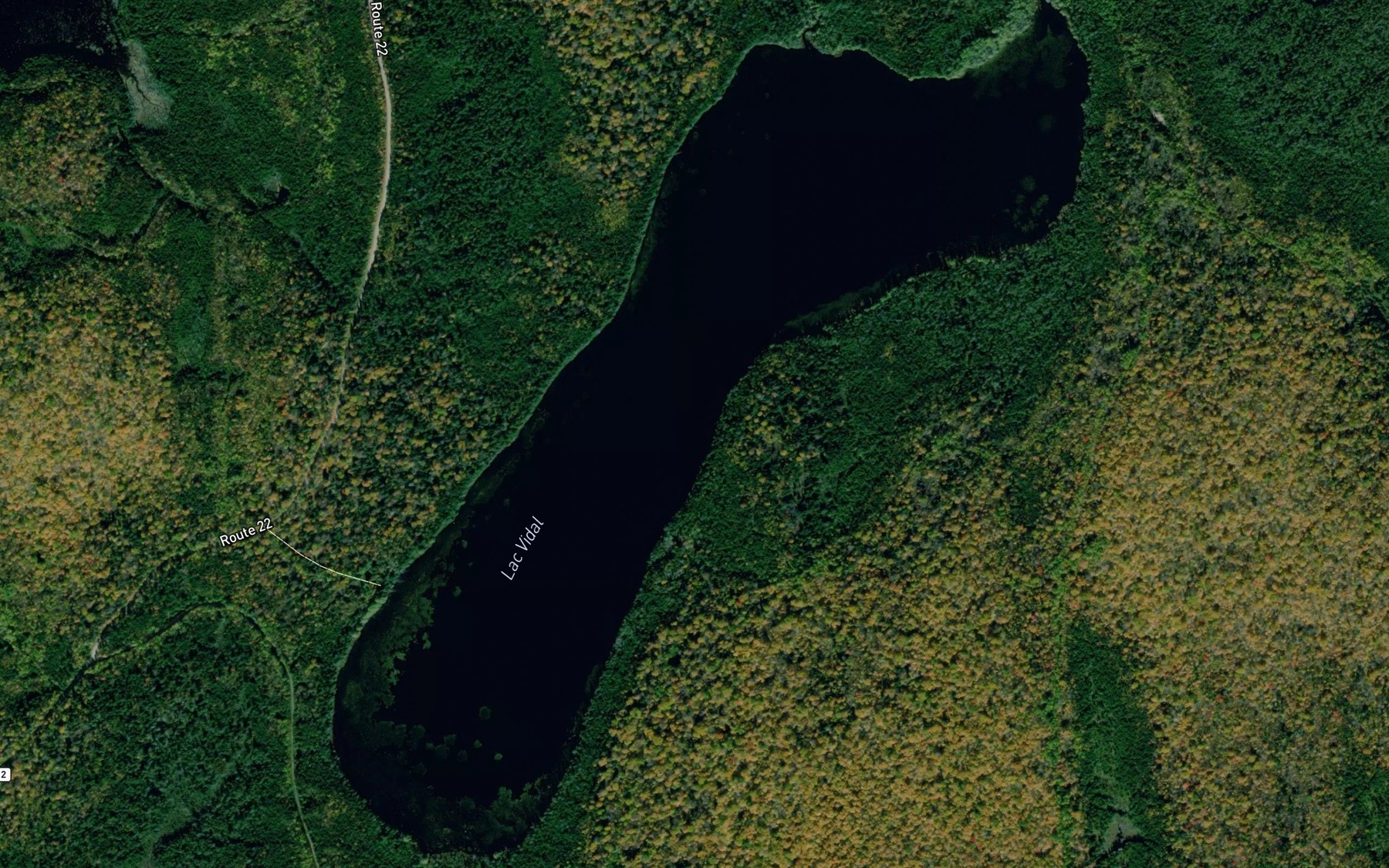 Satellite map of the Lac Vidal