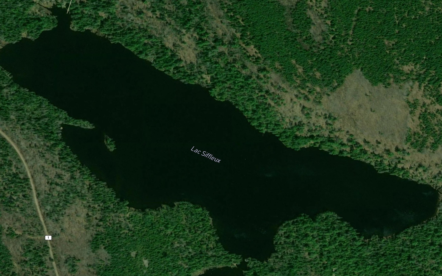 Satellite map of the Lac Siffleux