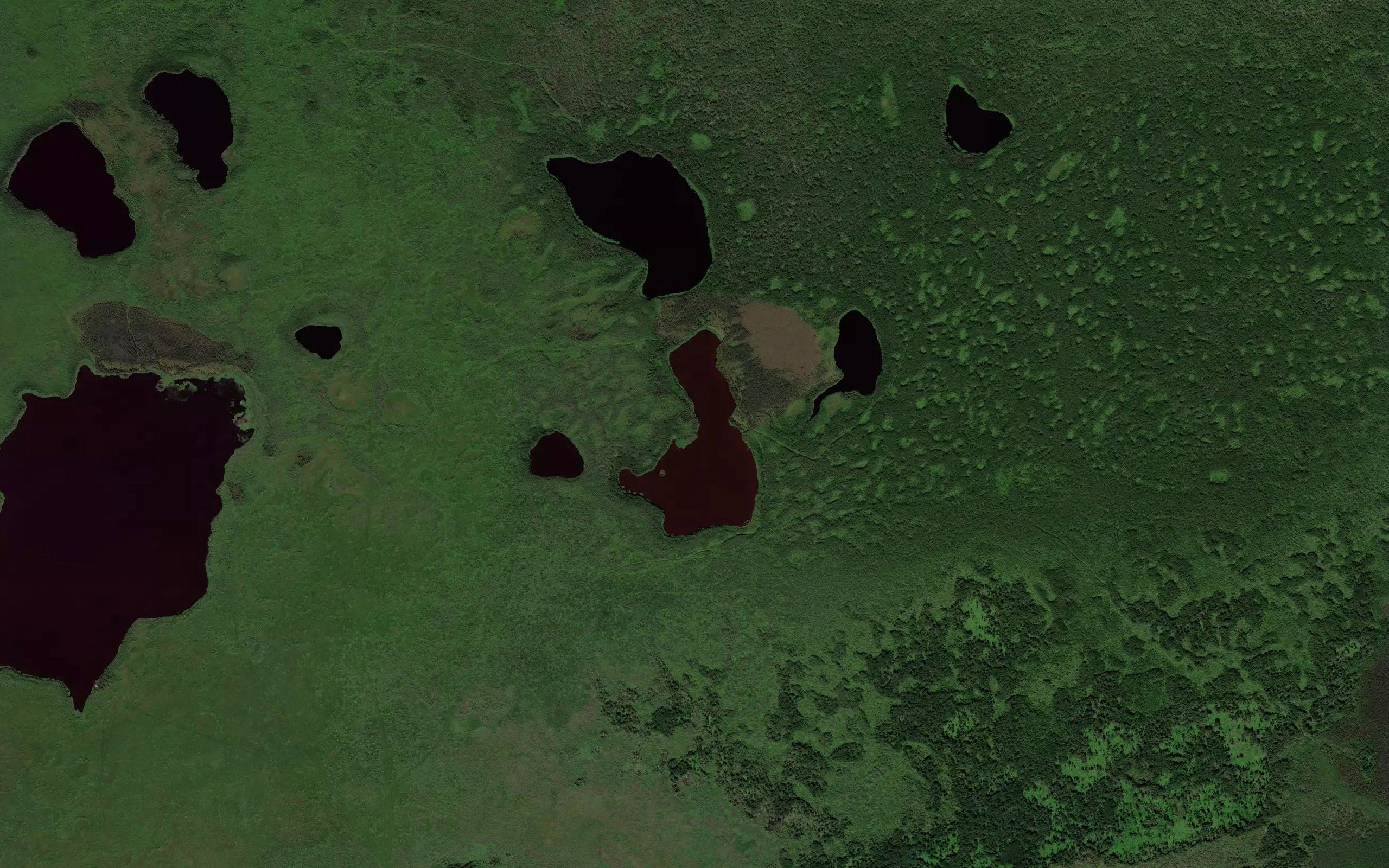 Ozero Krivoye