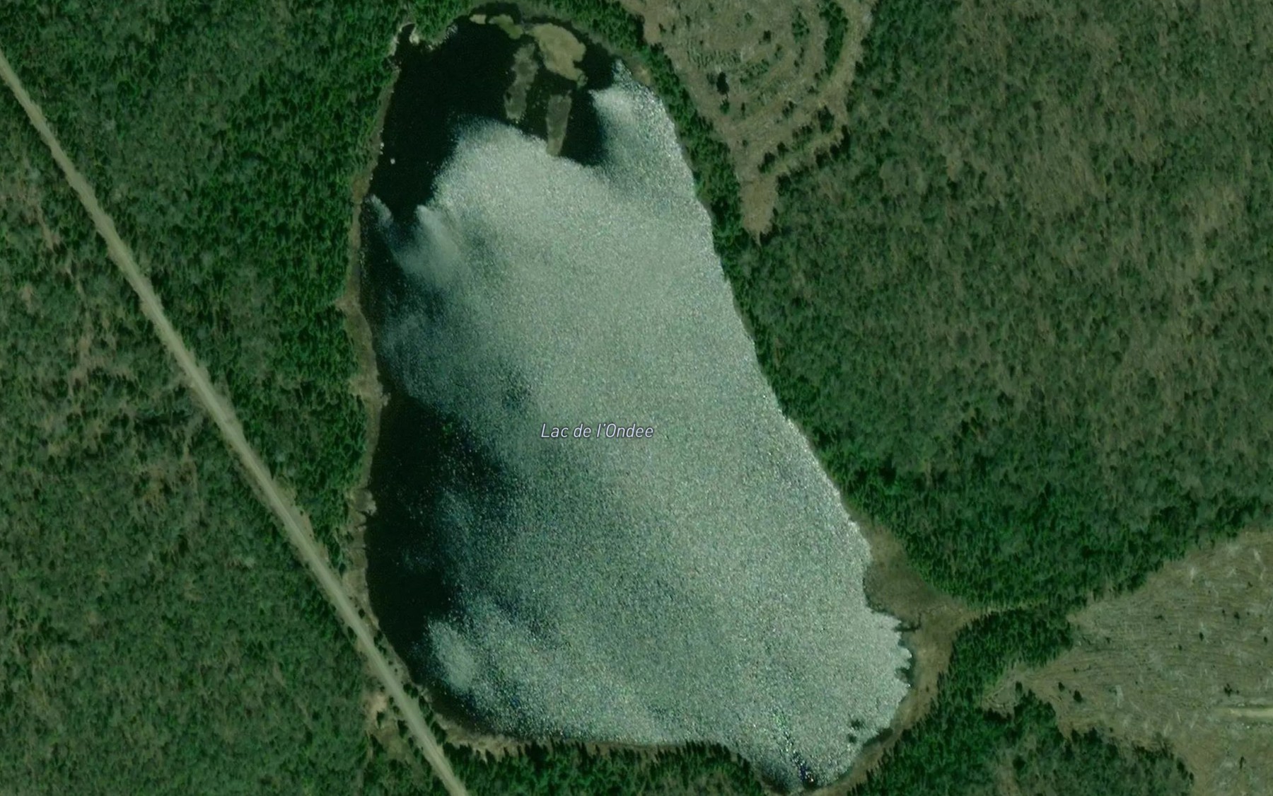 Satellite map of the Lac de l'Ondee