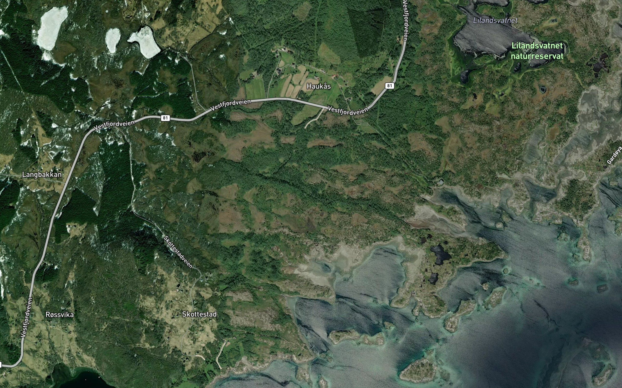 Haukaselva