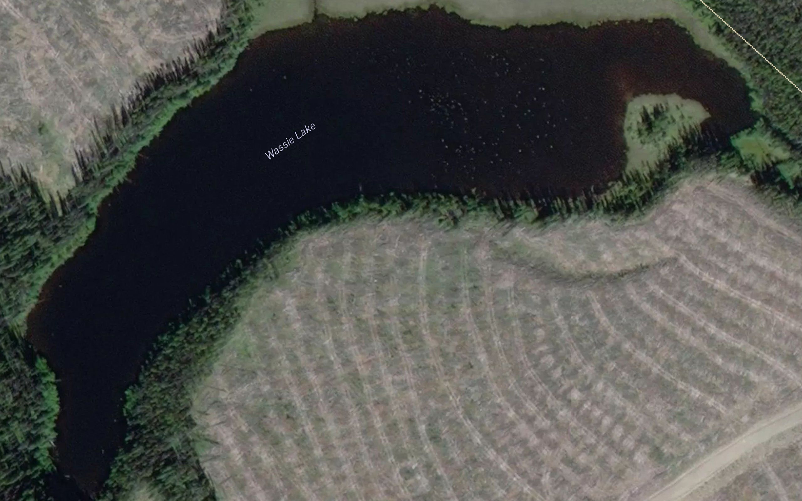 Wassie Lake