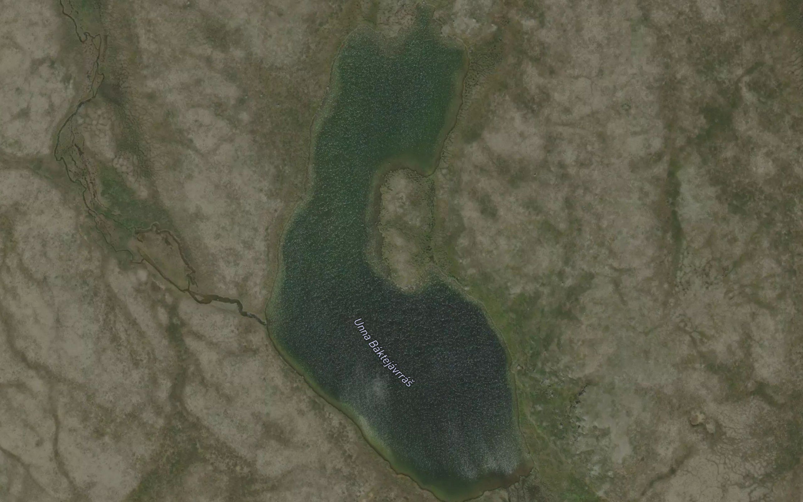 Baktejavras,unna