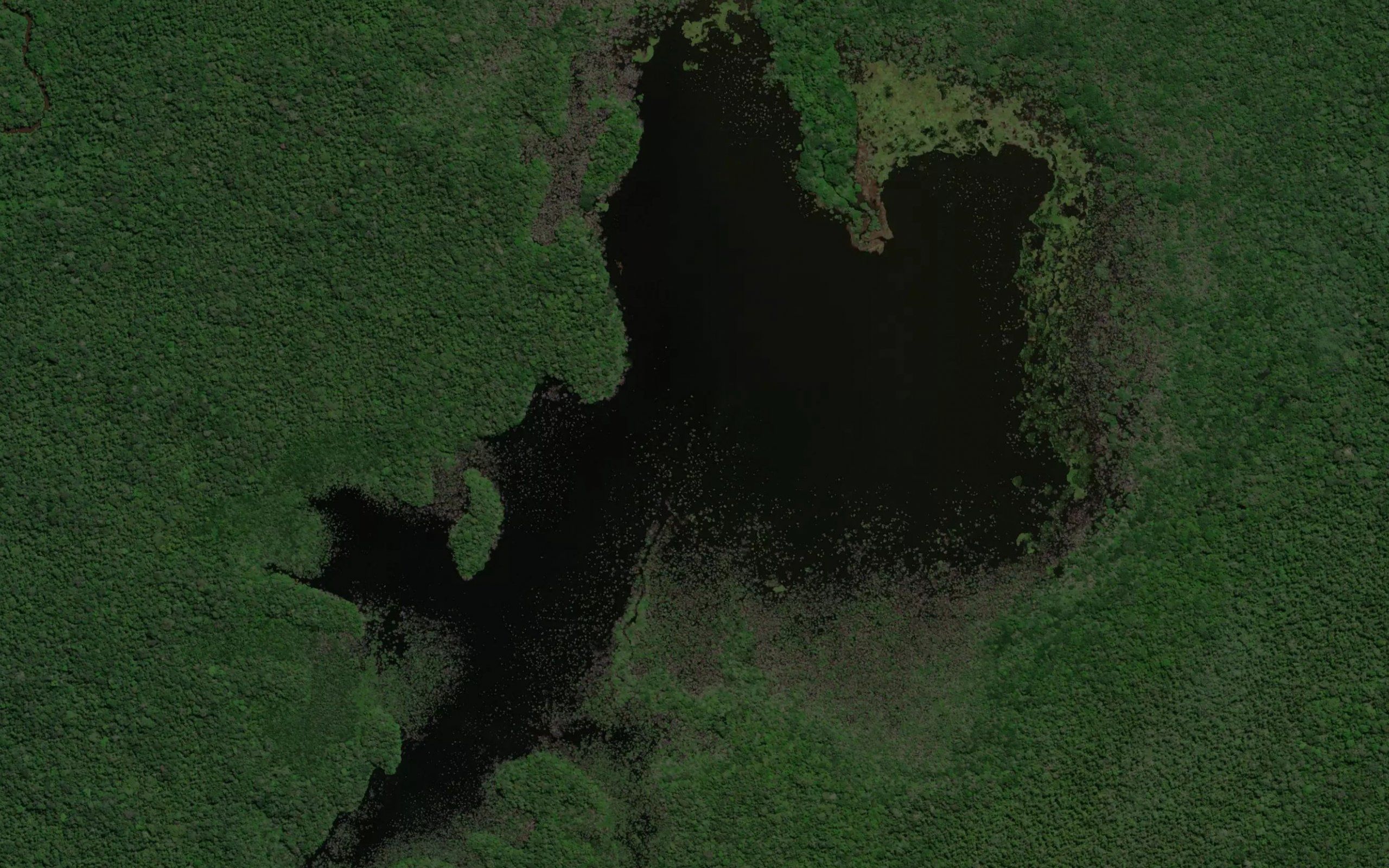 Laguna Canangueno