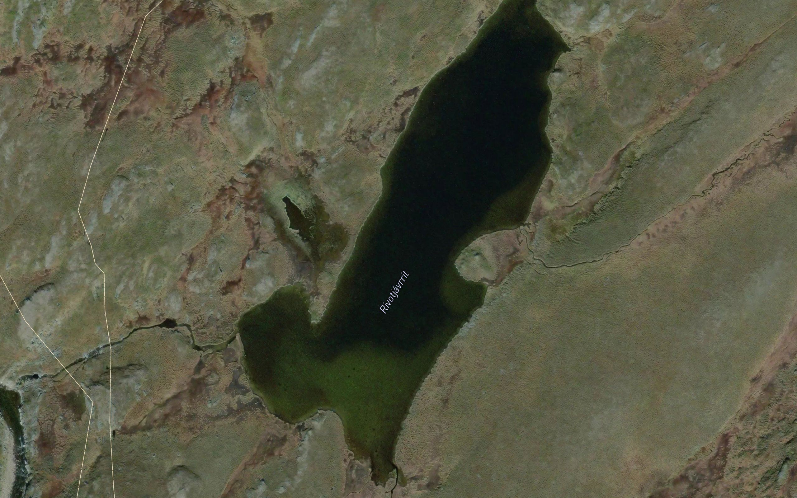 Rivutjavrit
