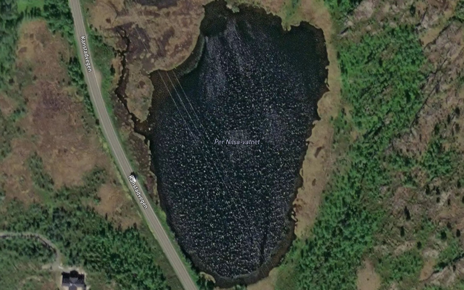 Satellite map of the Pernilsavatnet
