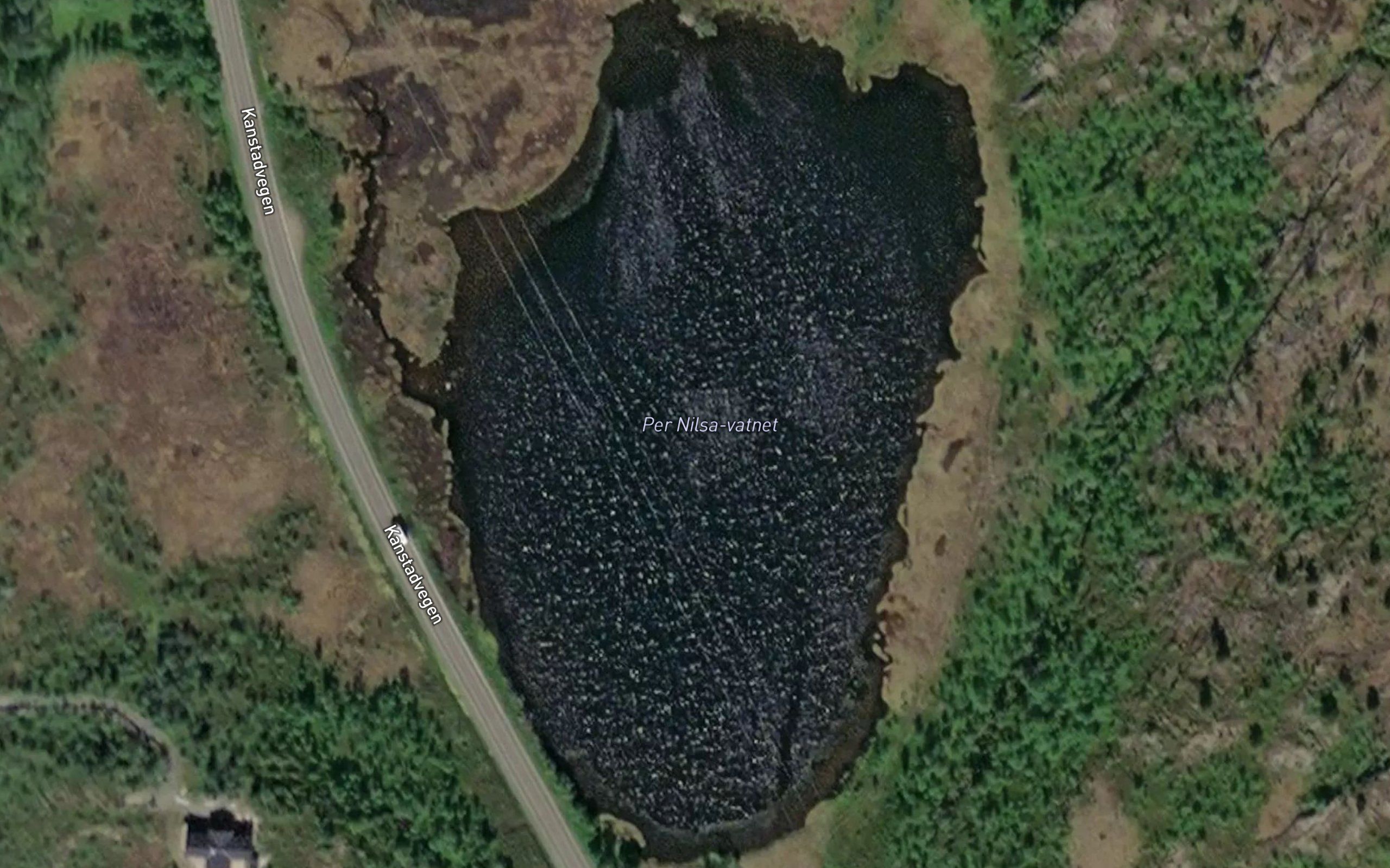 Pernilsavatnet