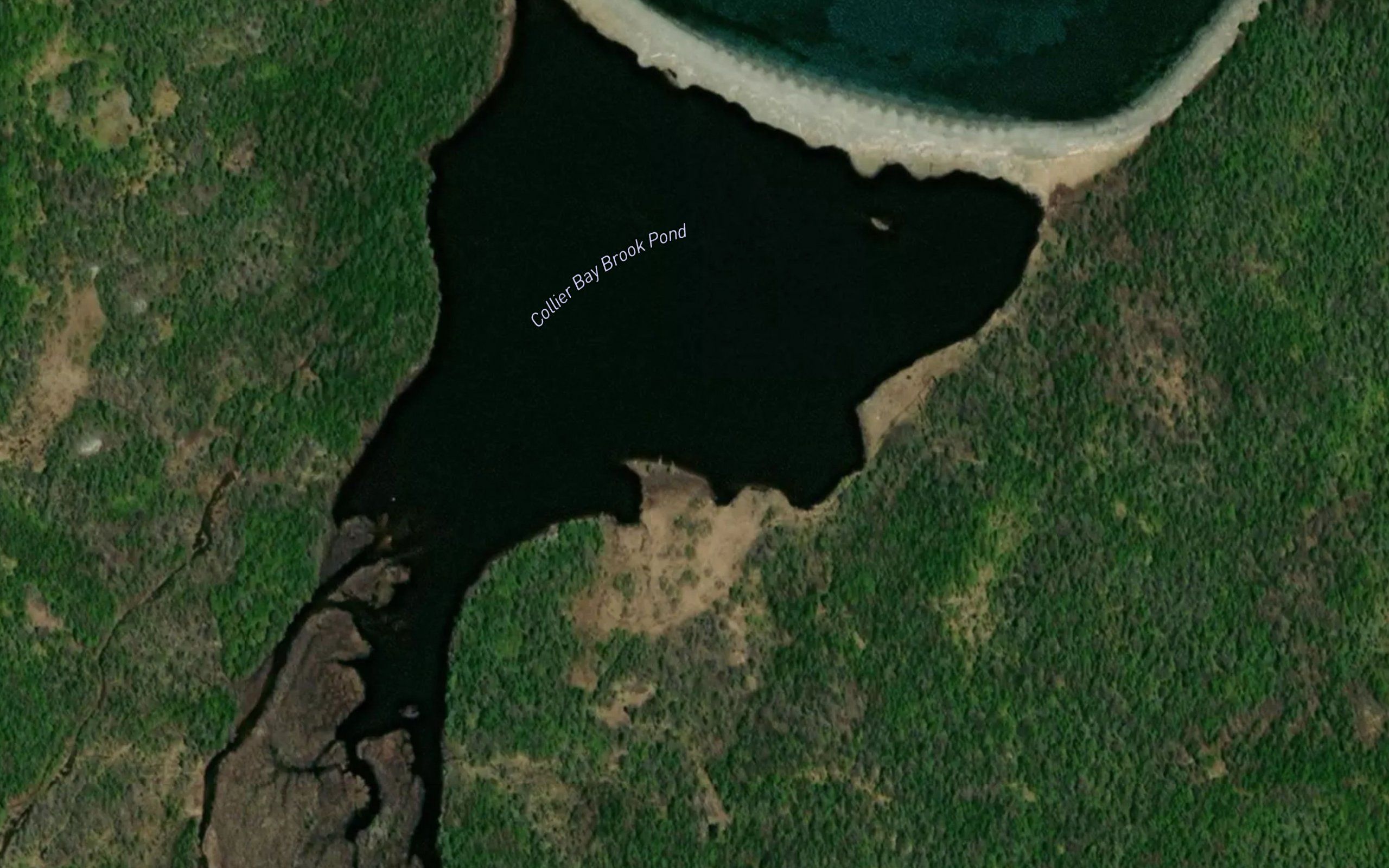 Collier Bay Brook Pond