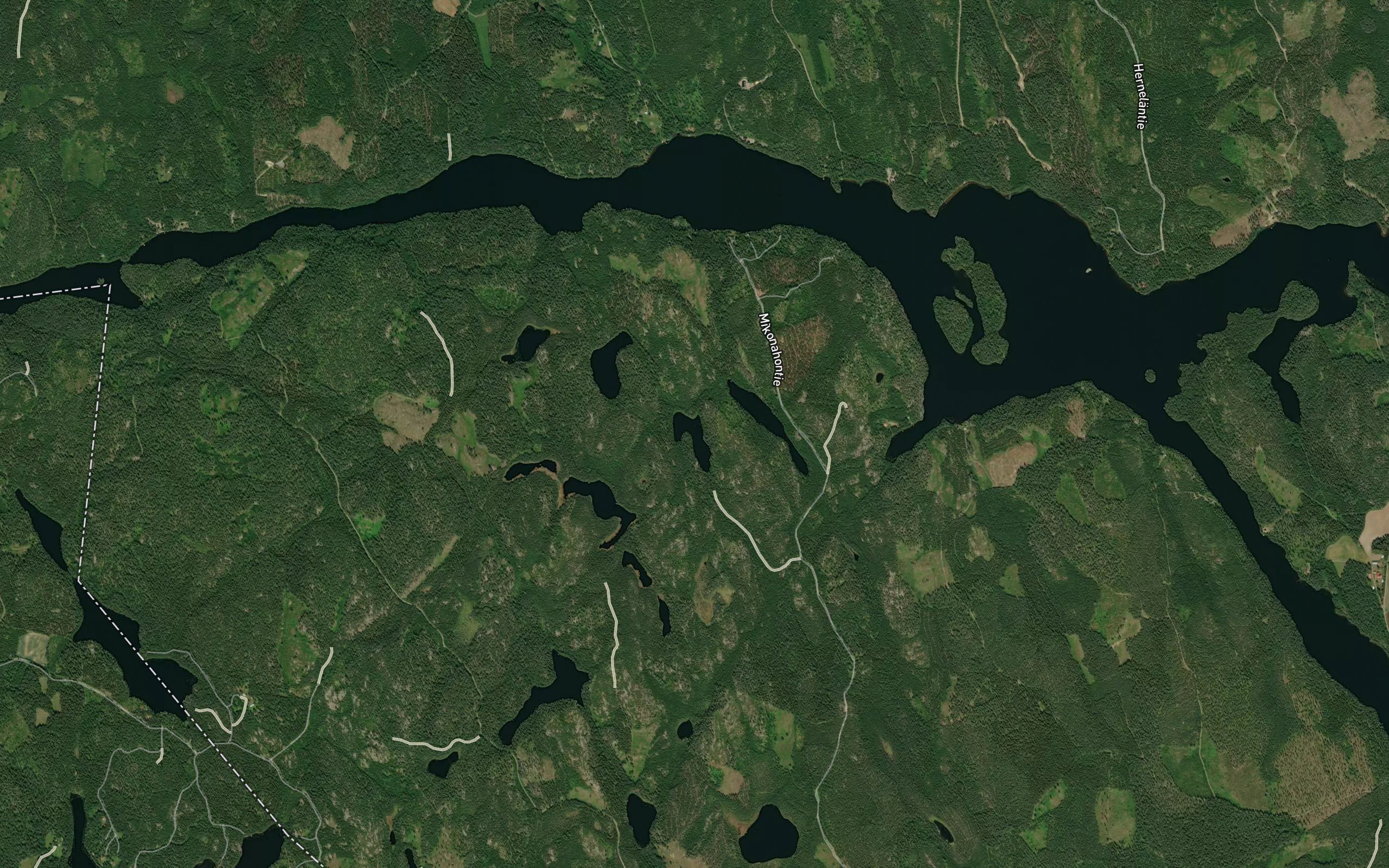 Kortelampi