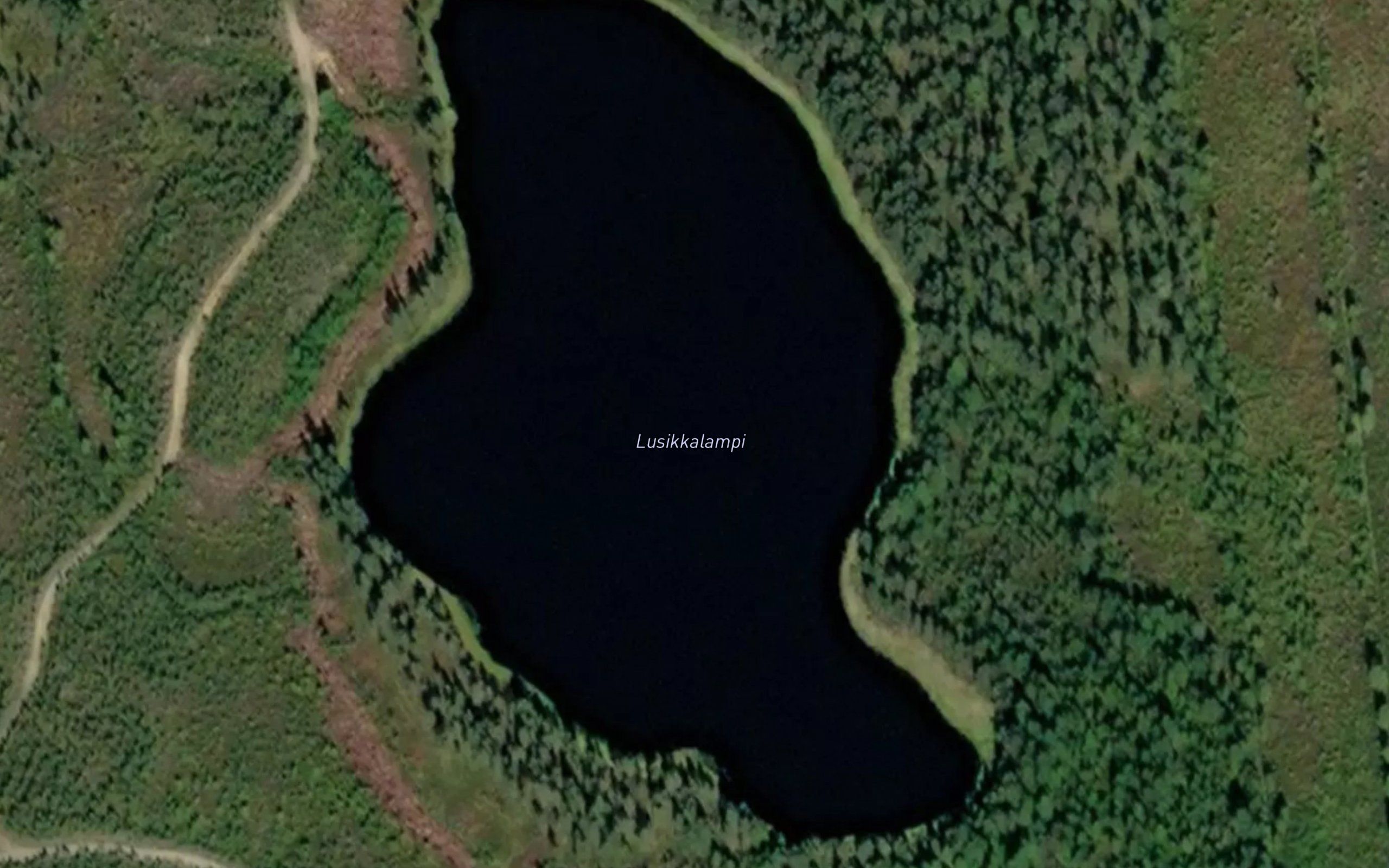 Lusikkalampi