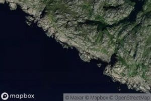 Toptavika