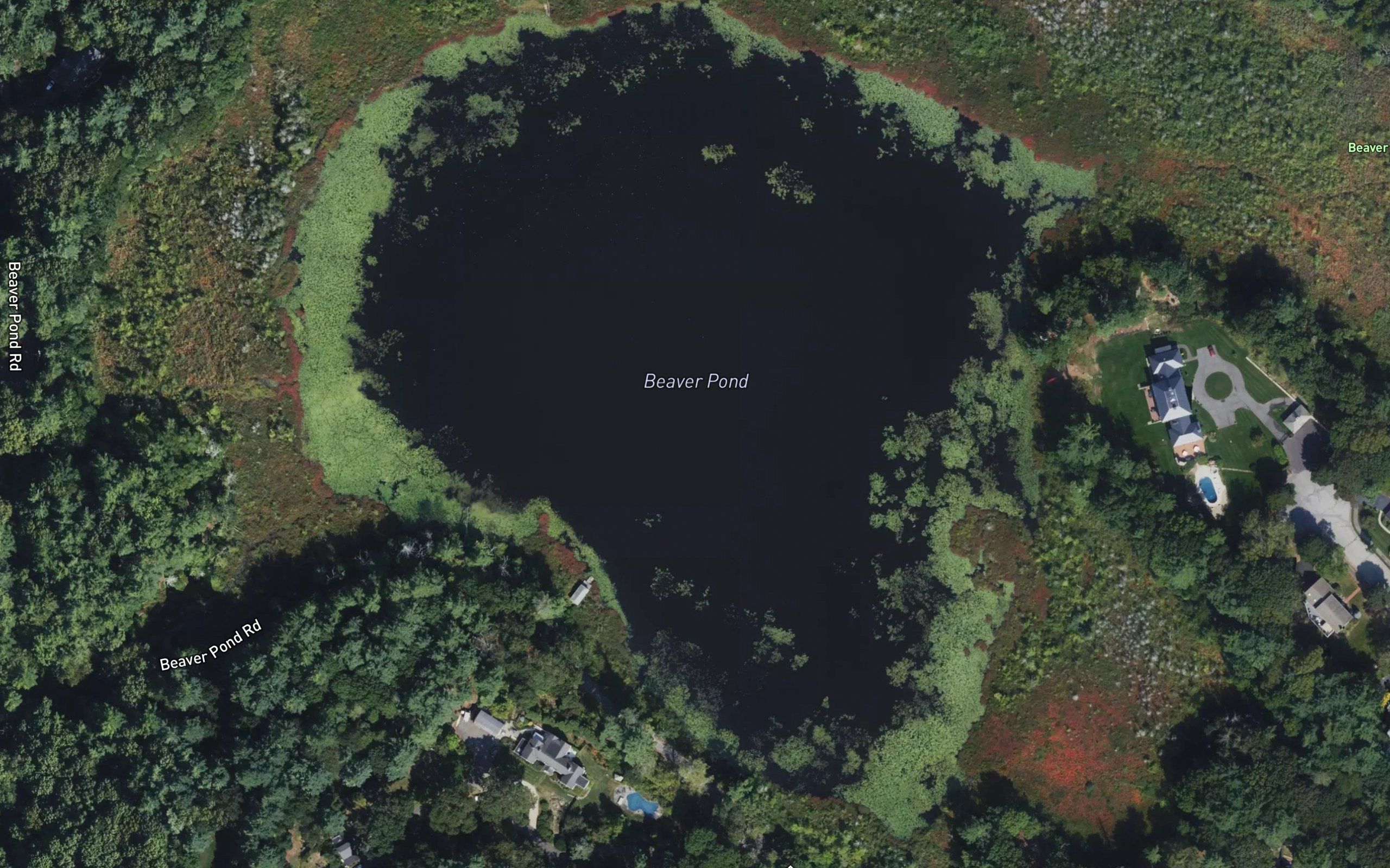 Beaver Pond
