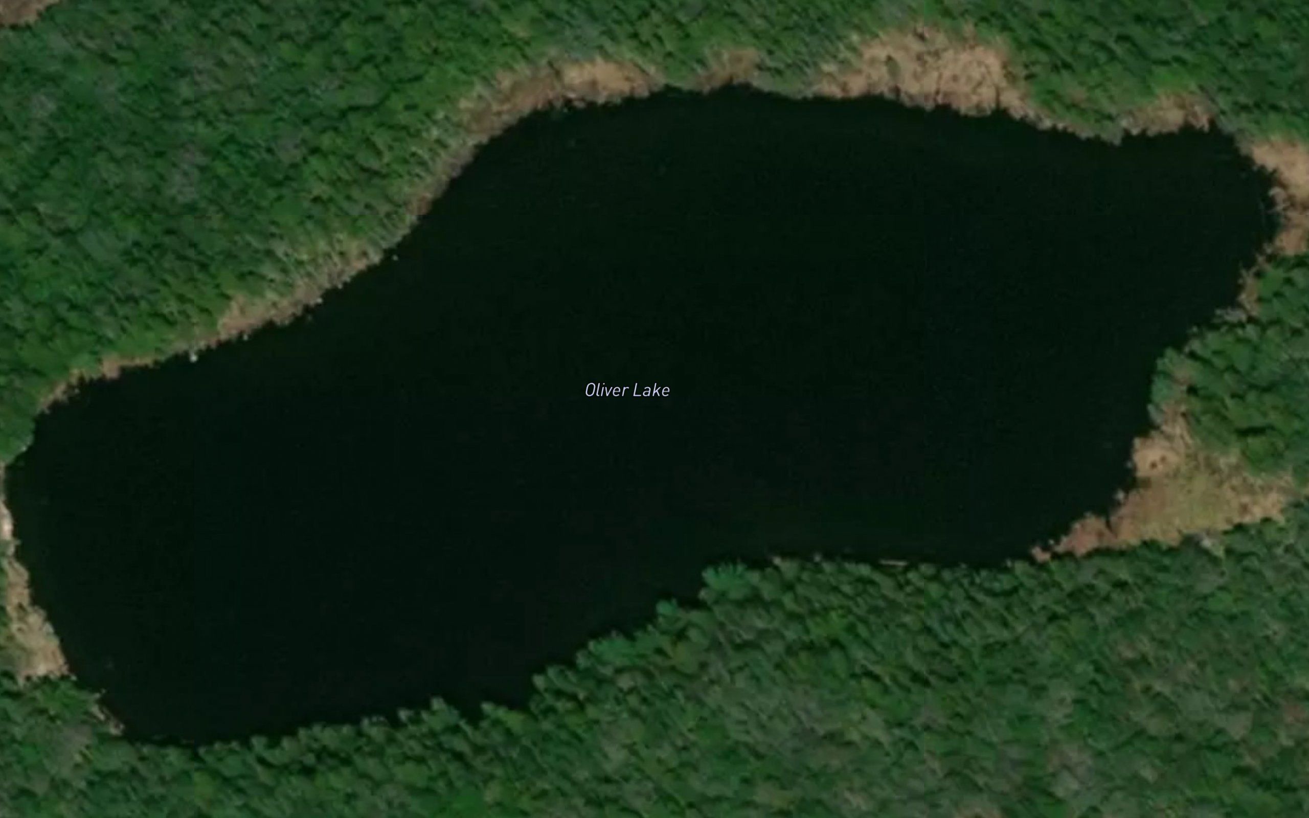 Oliver Lake