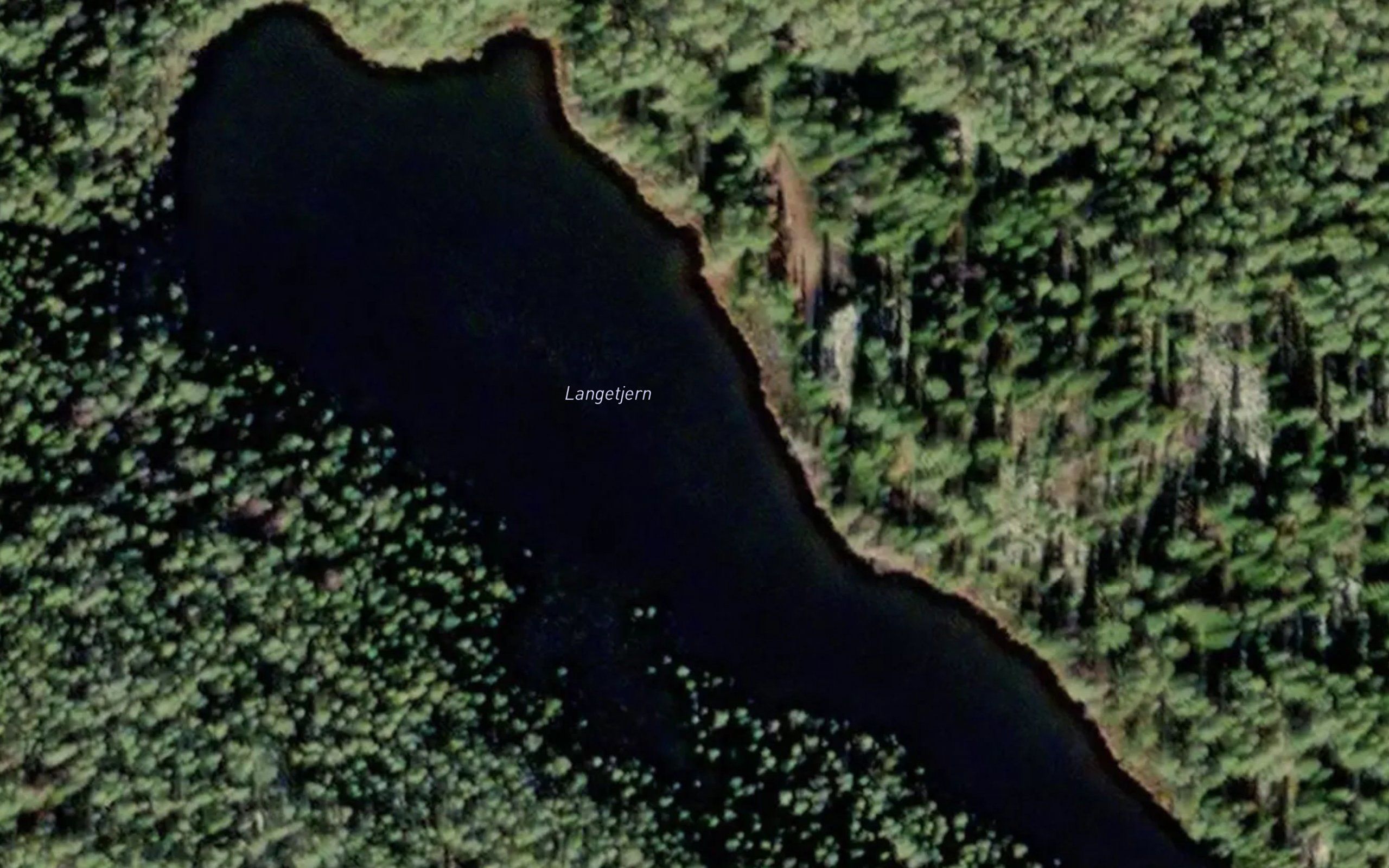 Langtjern