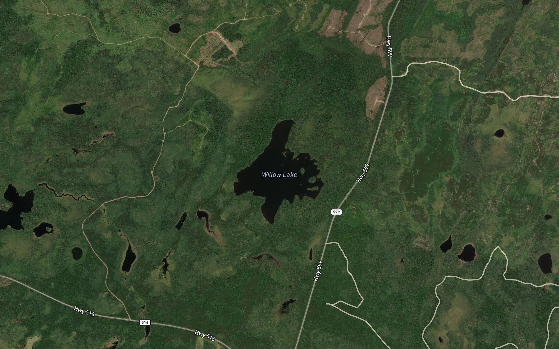 Satellite map of the Willow Lake