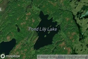 Pond Lily Lake