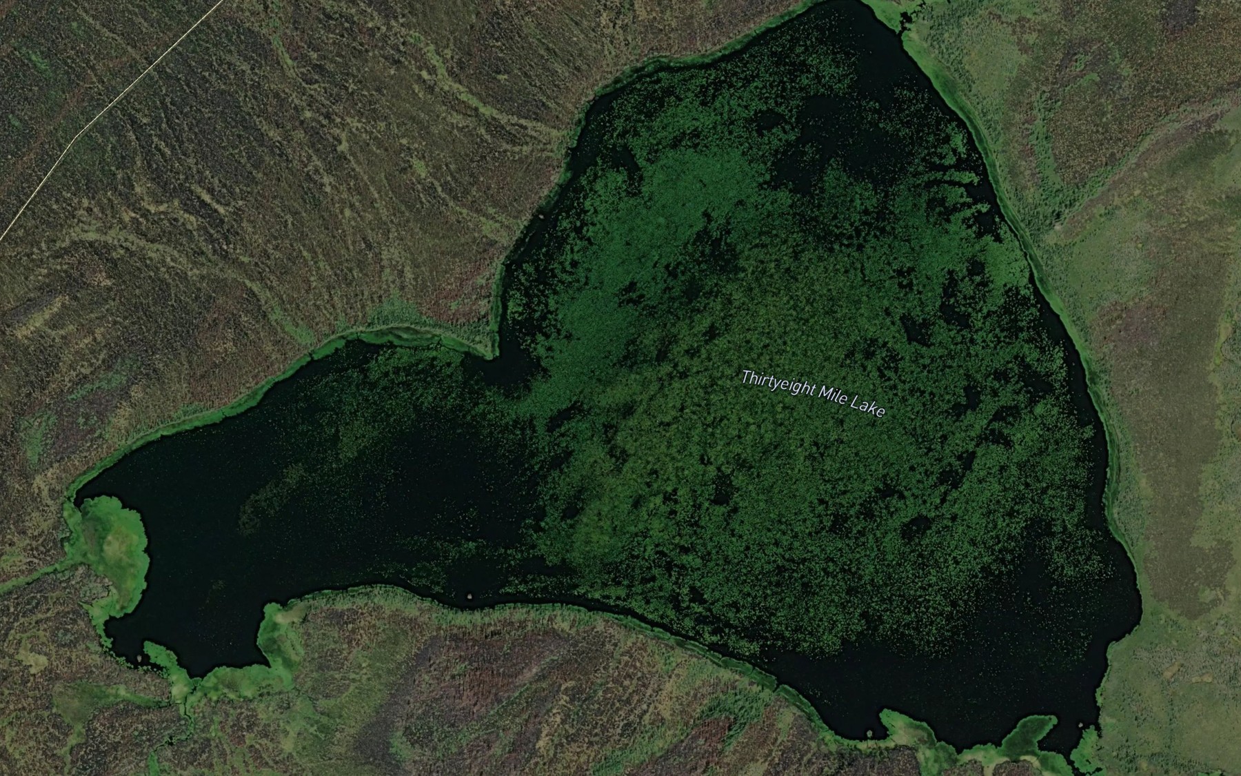 Satellite map of the Thirtyeight Mile Lake