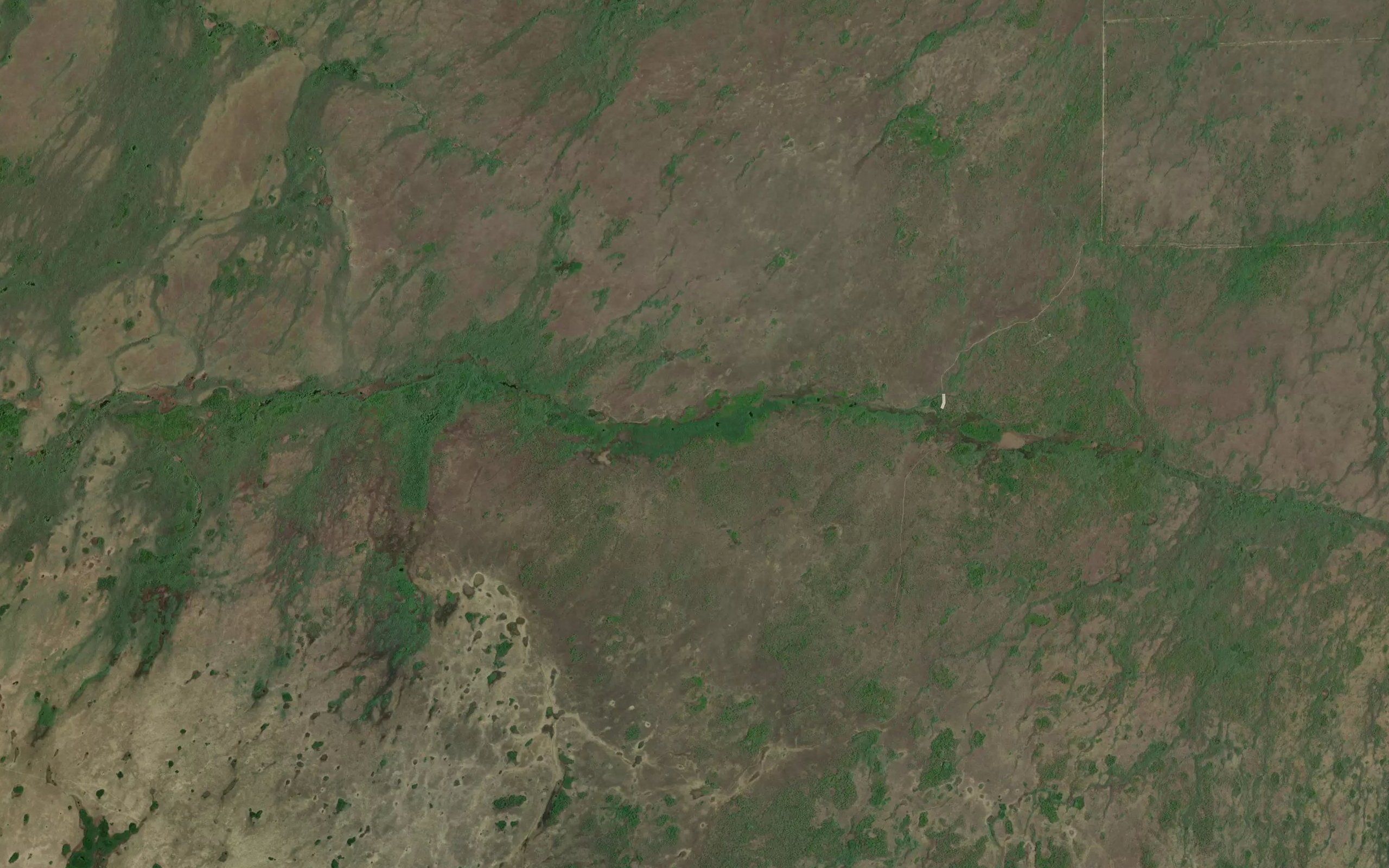 Gum Slough