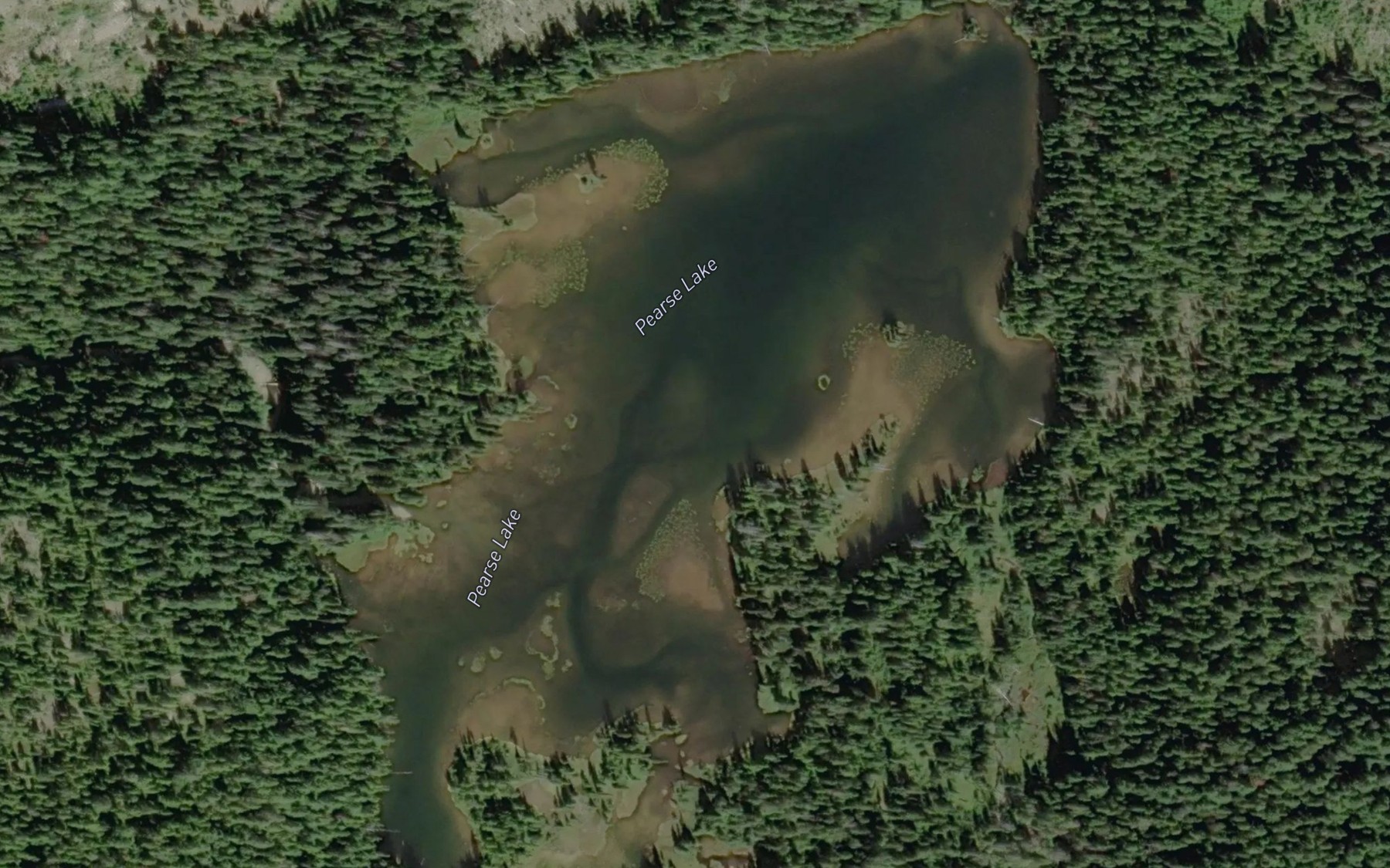 Satellite map of the Pearse Lake
