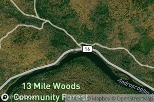Smoky Camp Brook