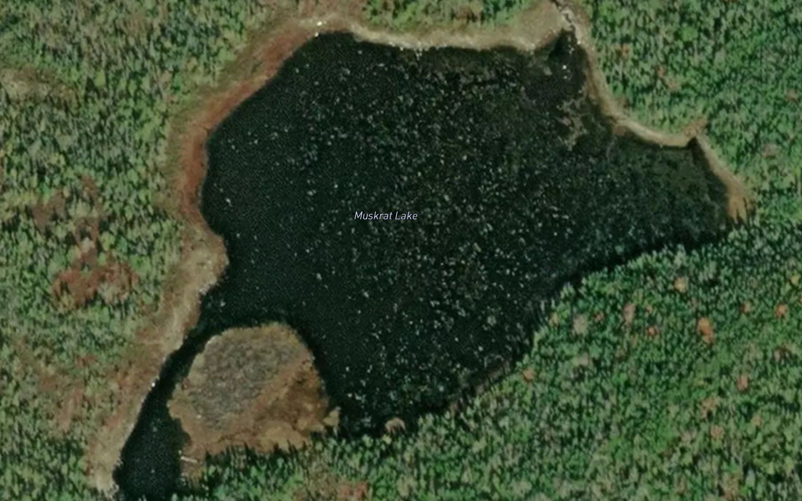 Muskrat Lake