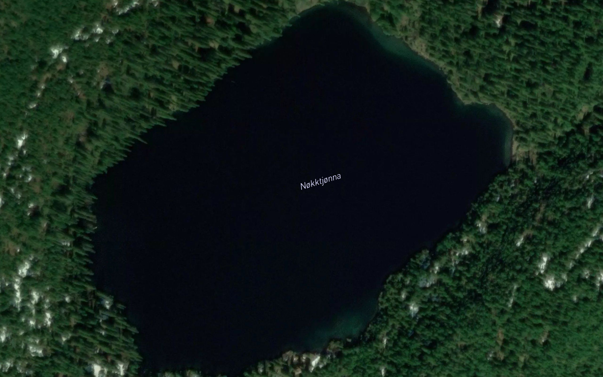 Nokktjorna