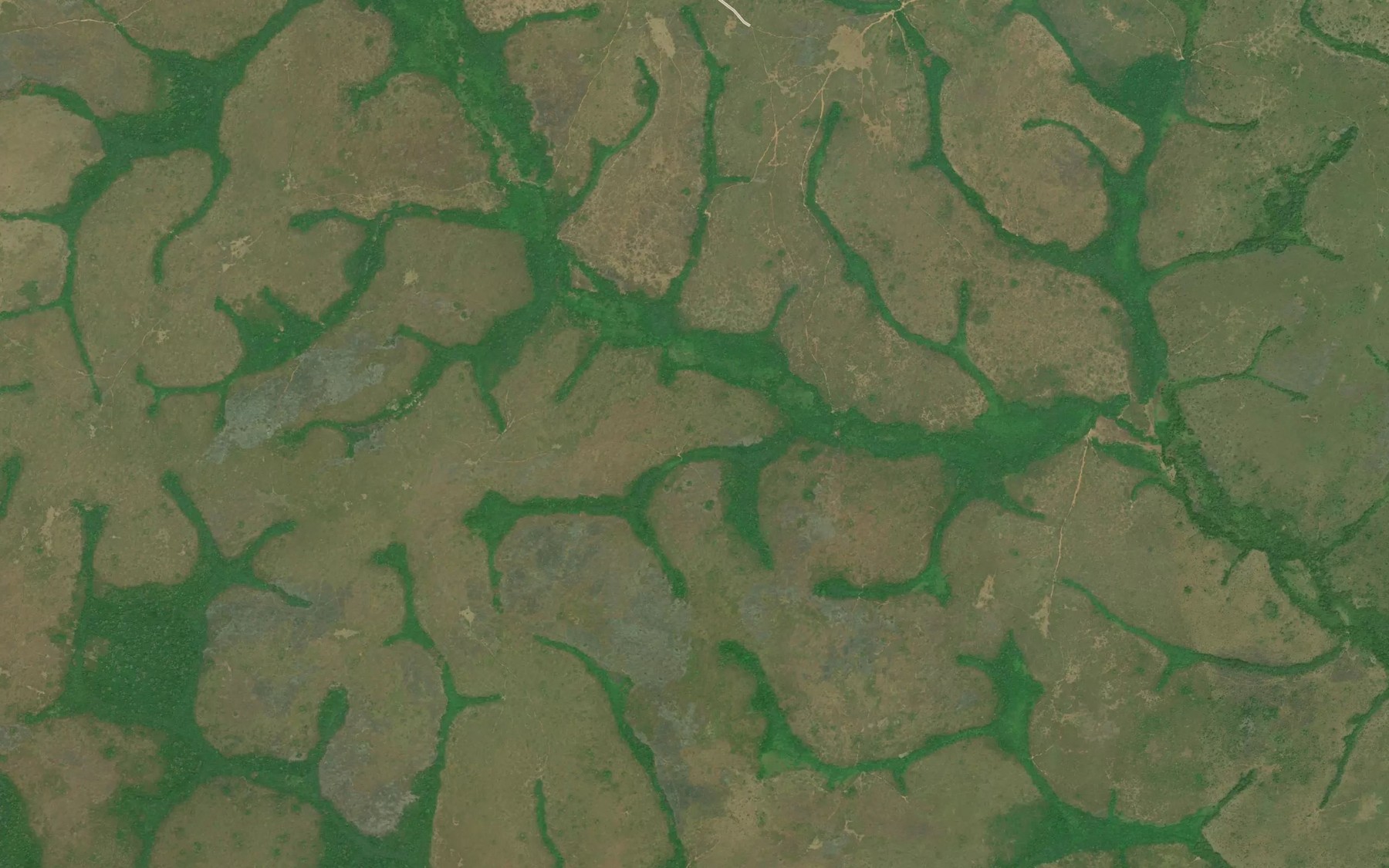 Satellite map of the Yanbondo