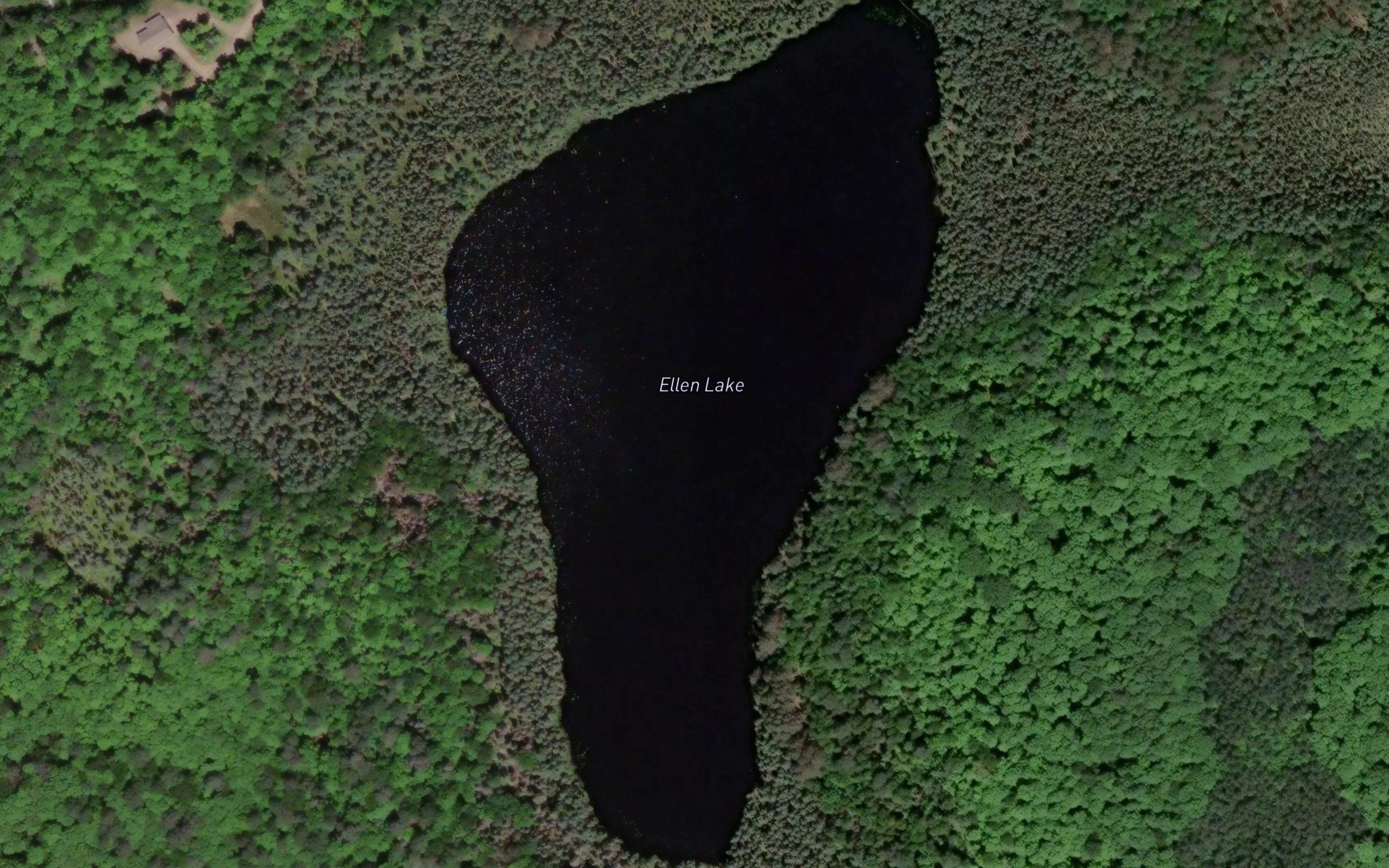 Ellen Lake