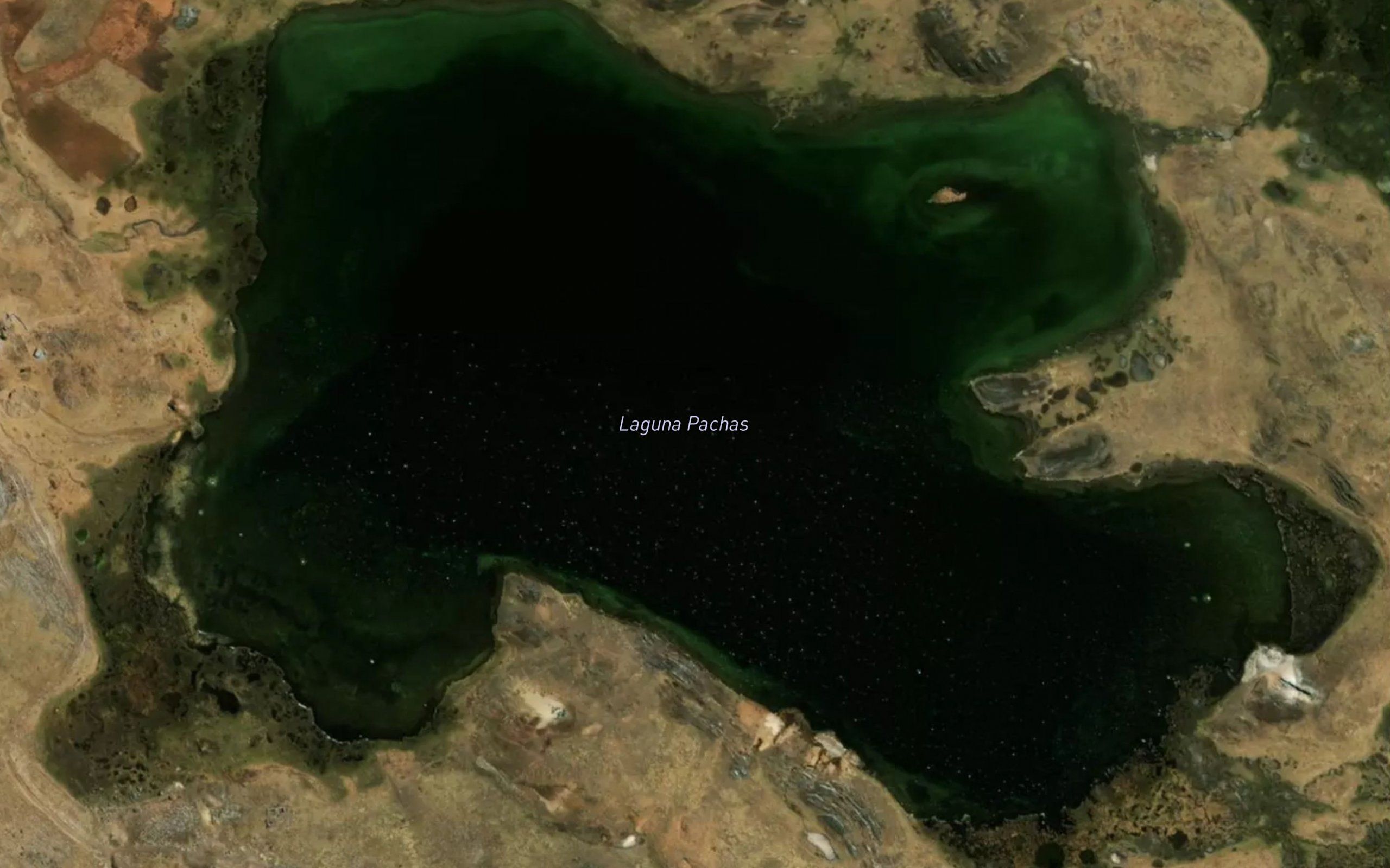 Laguna Pachas