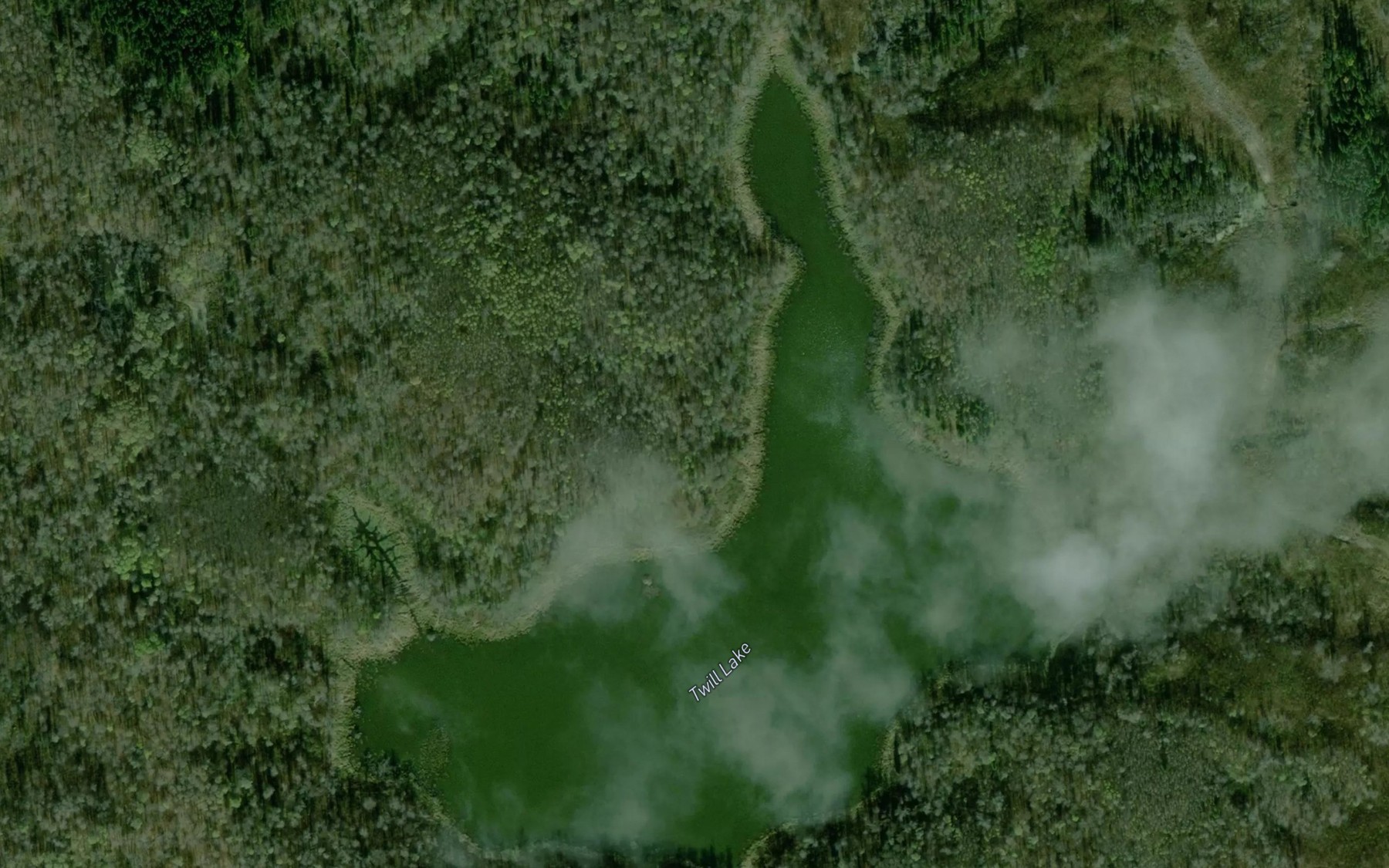Satellite map of the Twill Lake