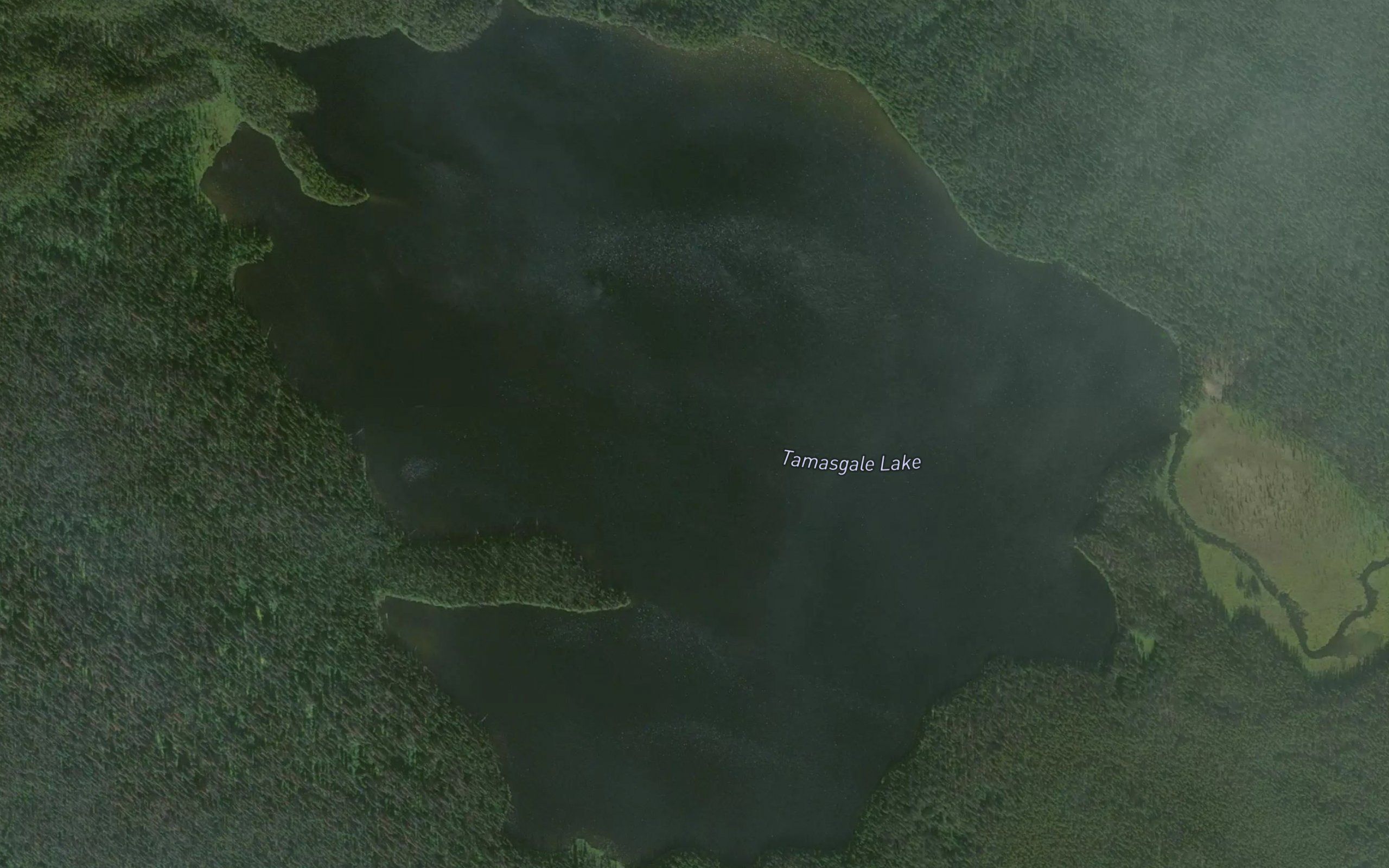 Tamasgale Lake