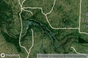 Big Cannon Creek Swamp