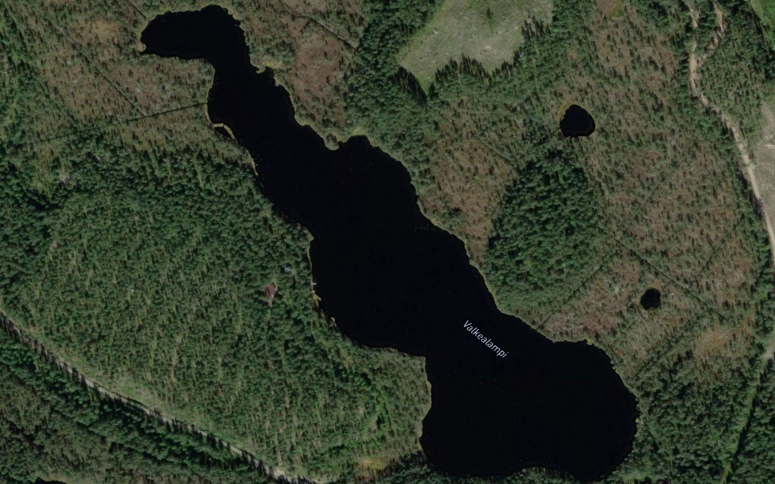 Valkealampi