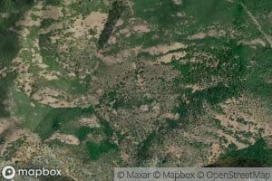 Tub Springs