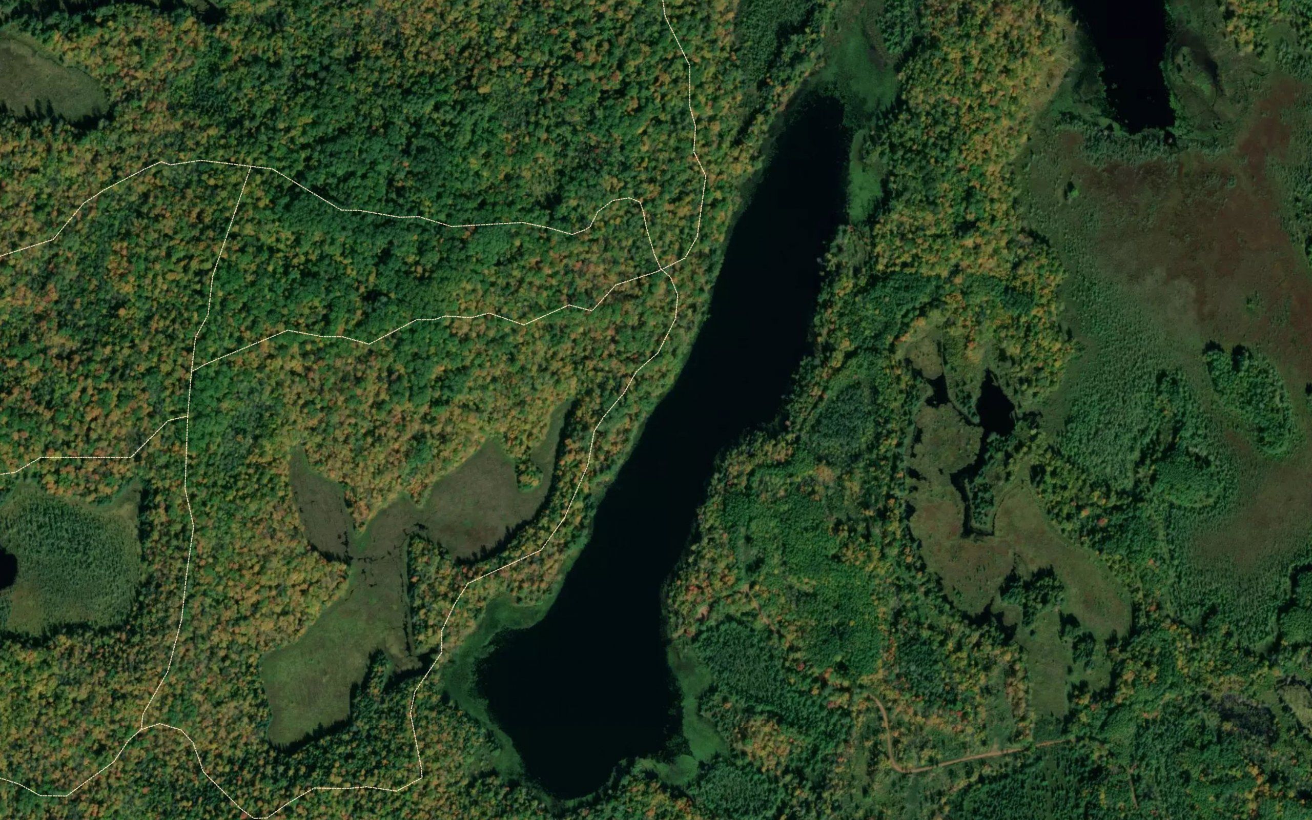 Long Lake