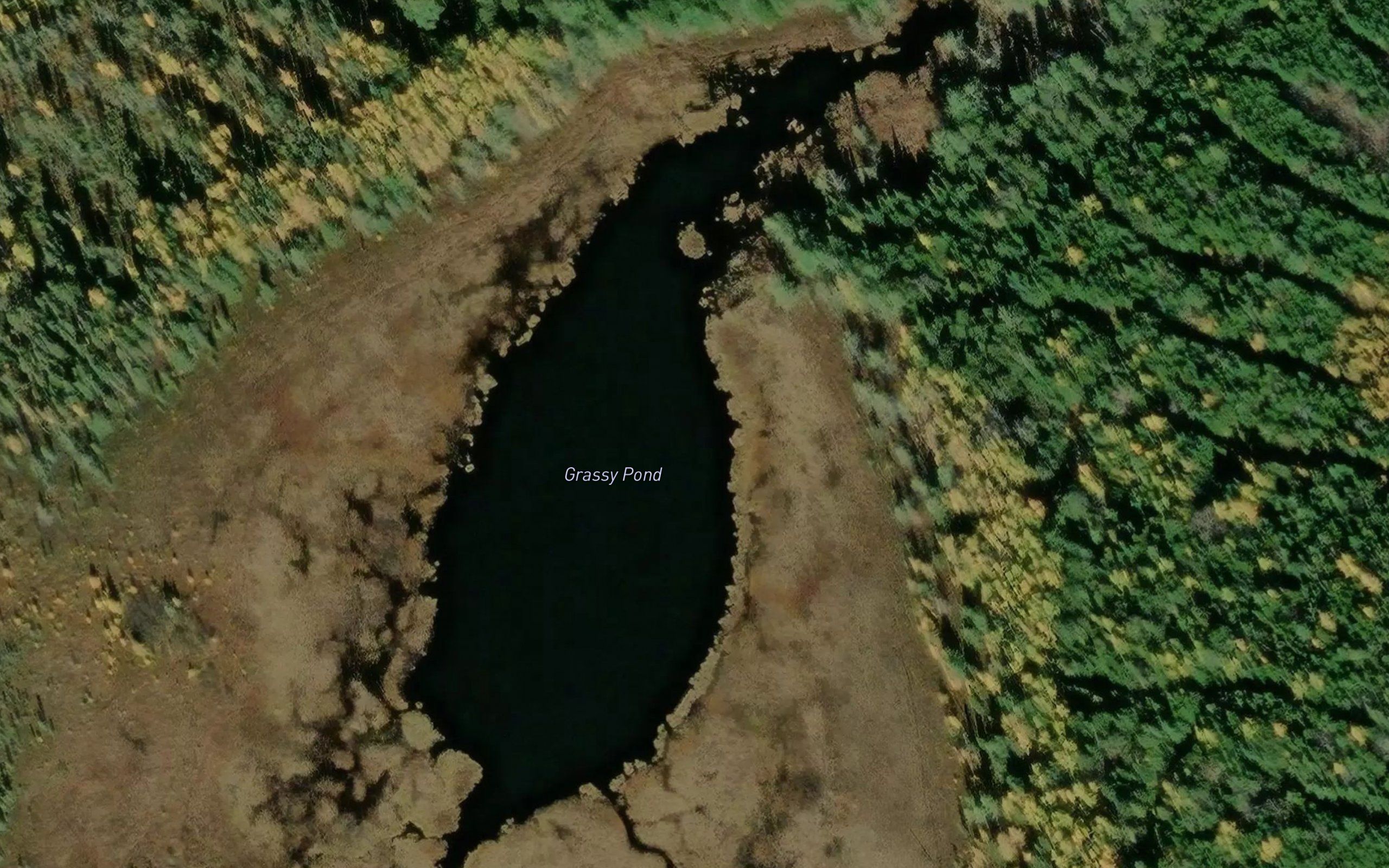 Grassy Pond