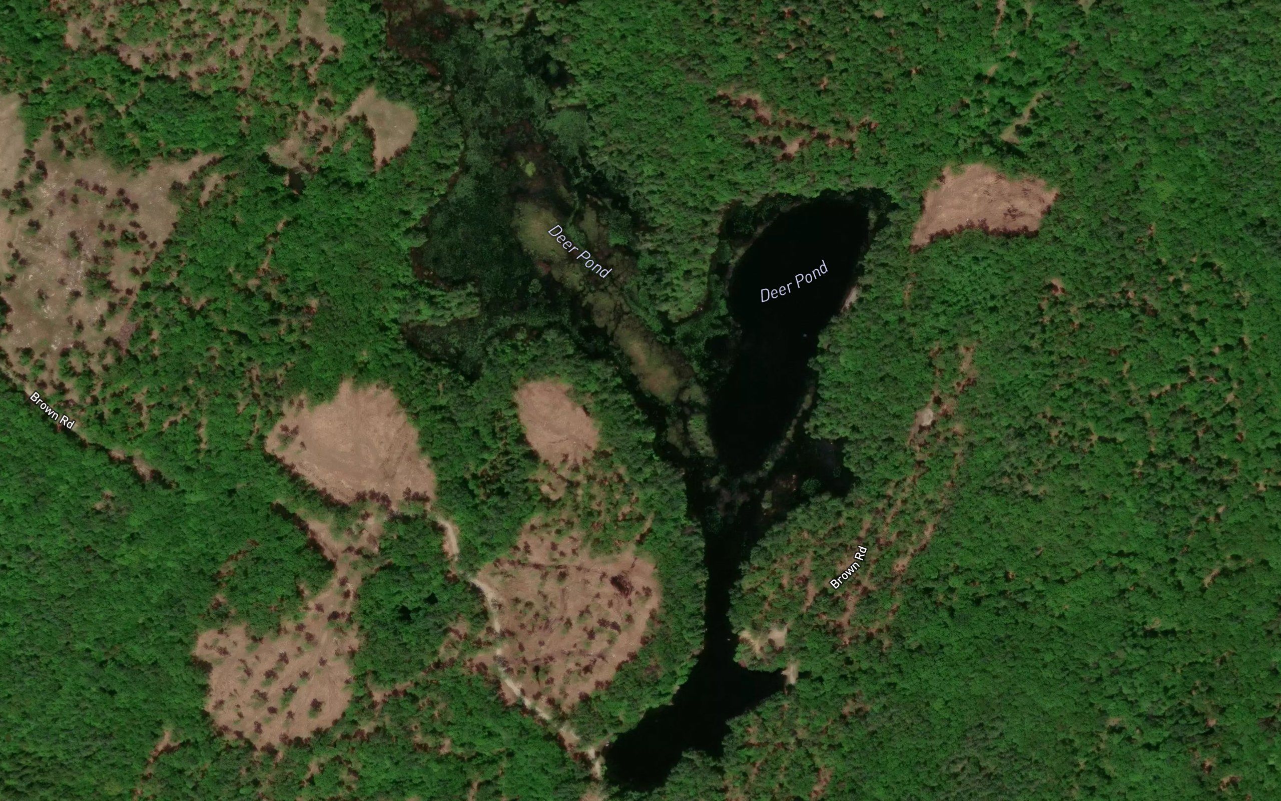 Deer Pond