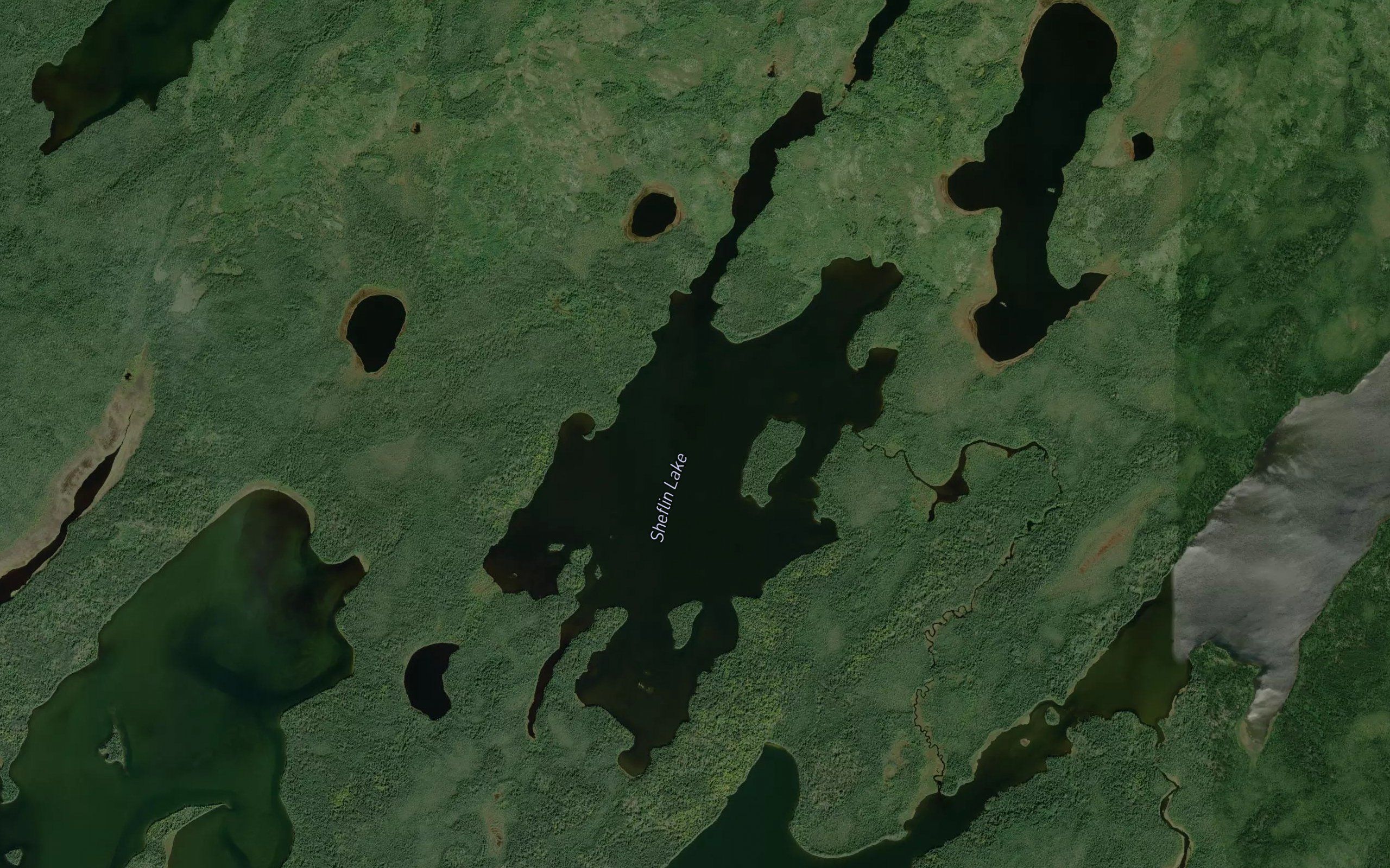 Sheflin Lake