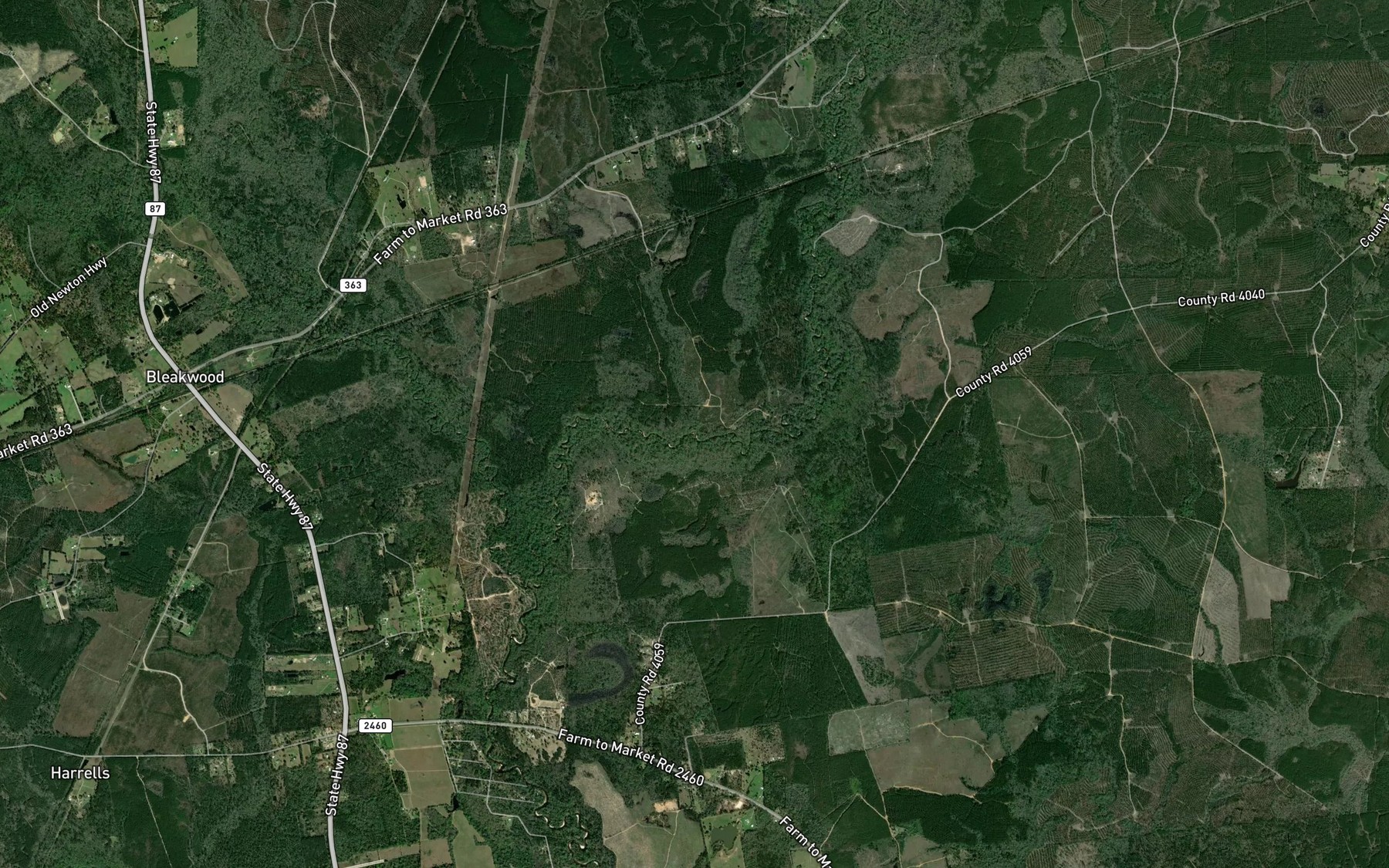 Satellite map of the George Lewis Branch