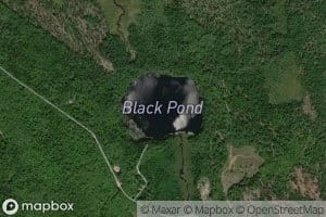 Black Pond