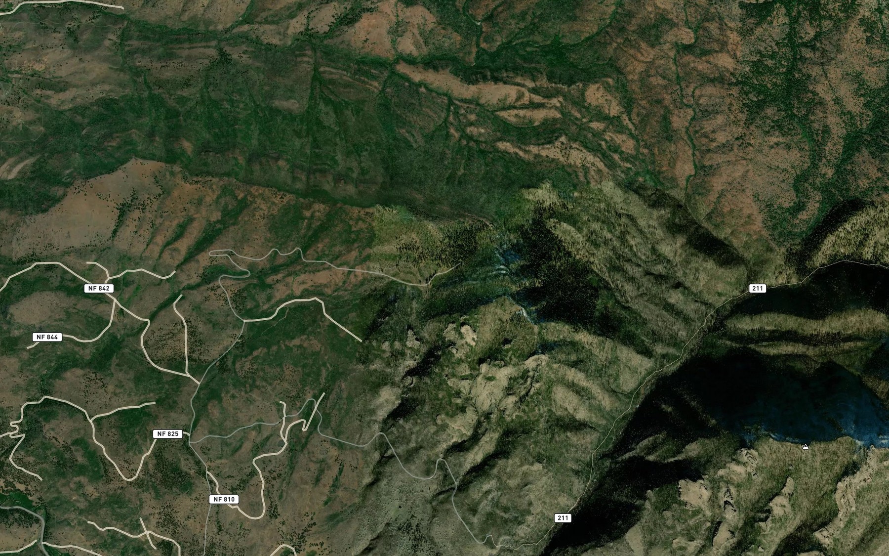 Satellite map of the Alder Spring