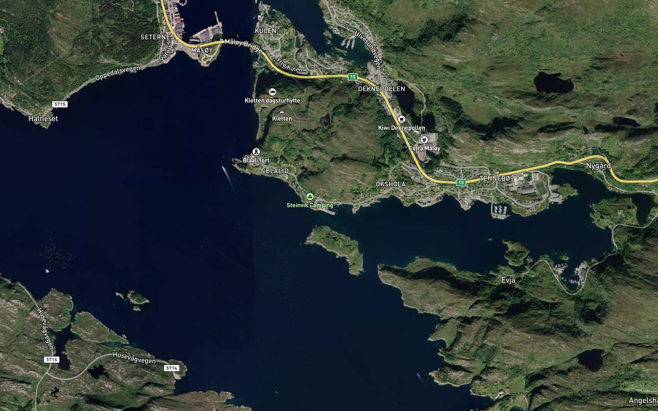 Hesjevika