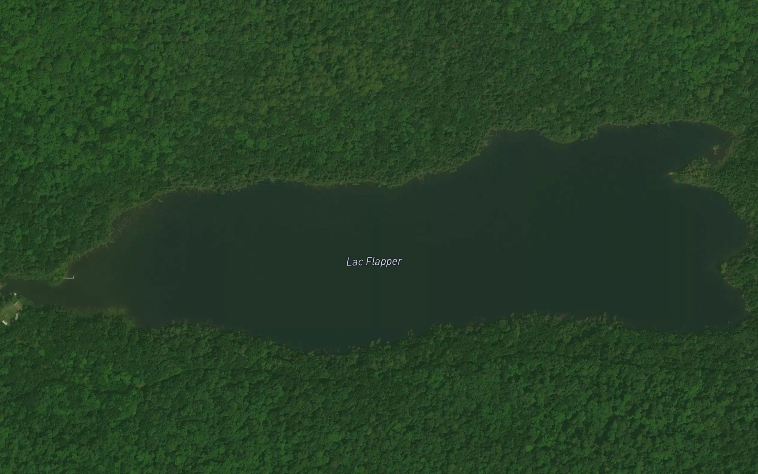 Lac Flapper