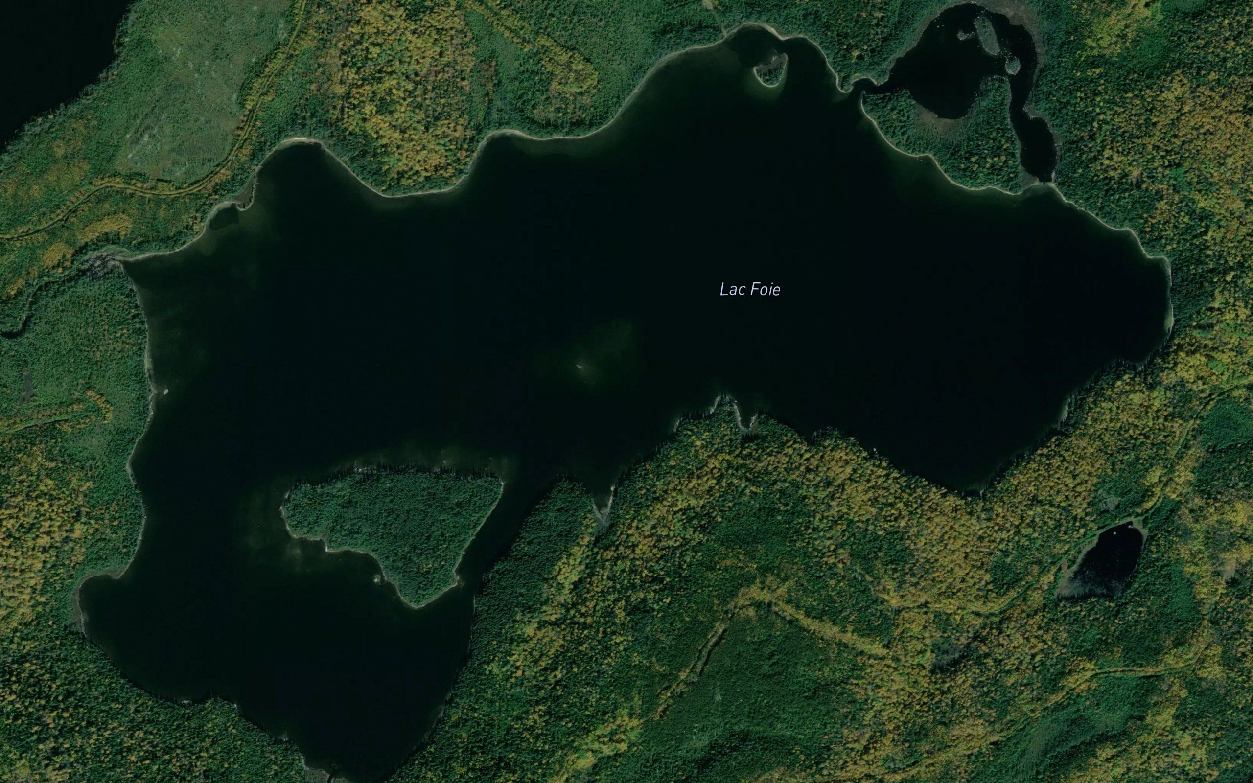 Lac Foie