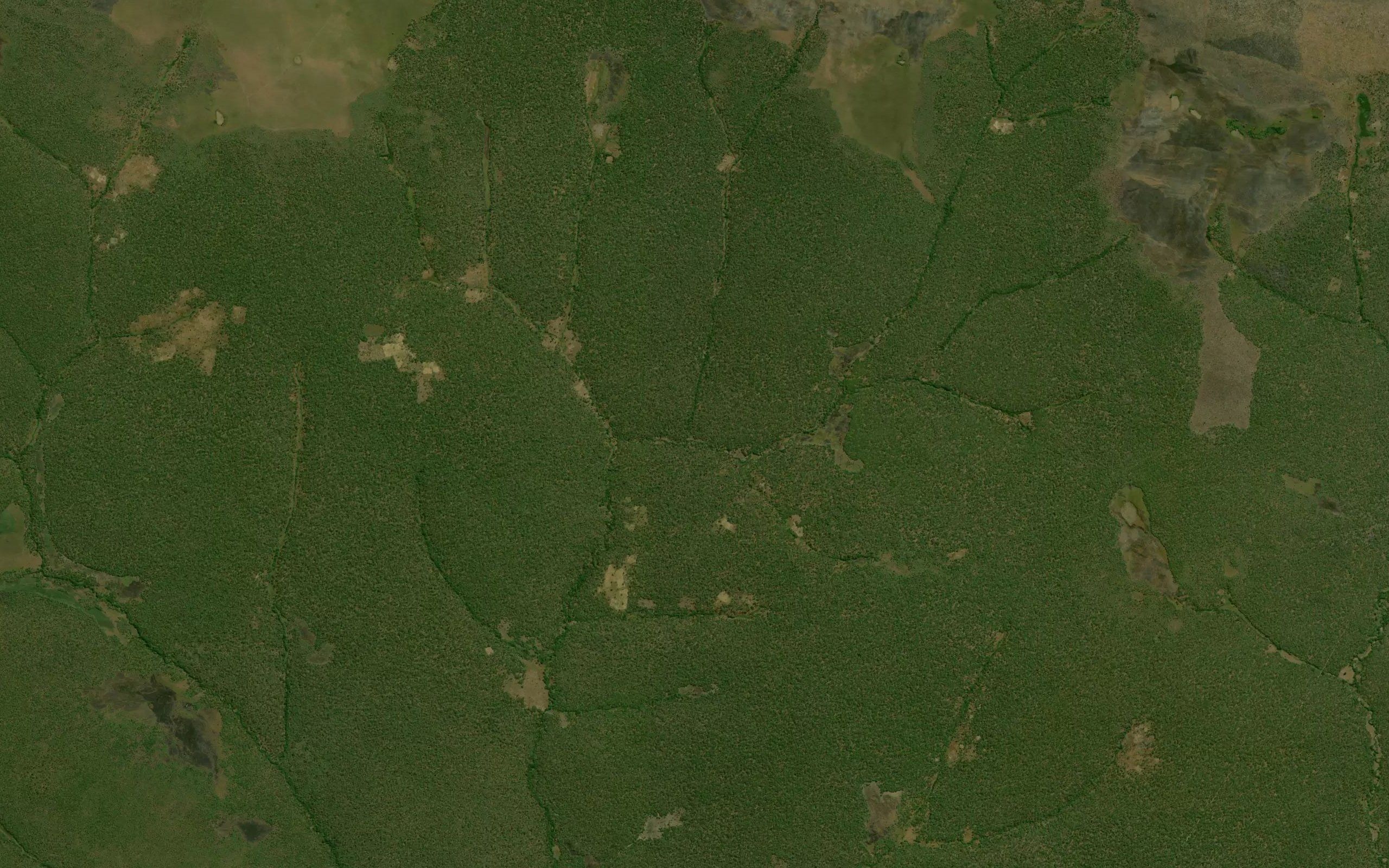 Kampangwe