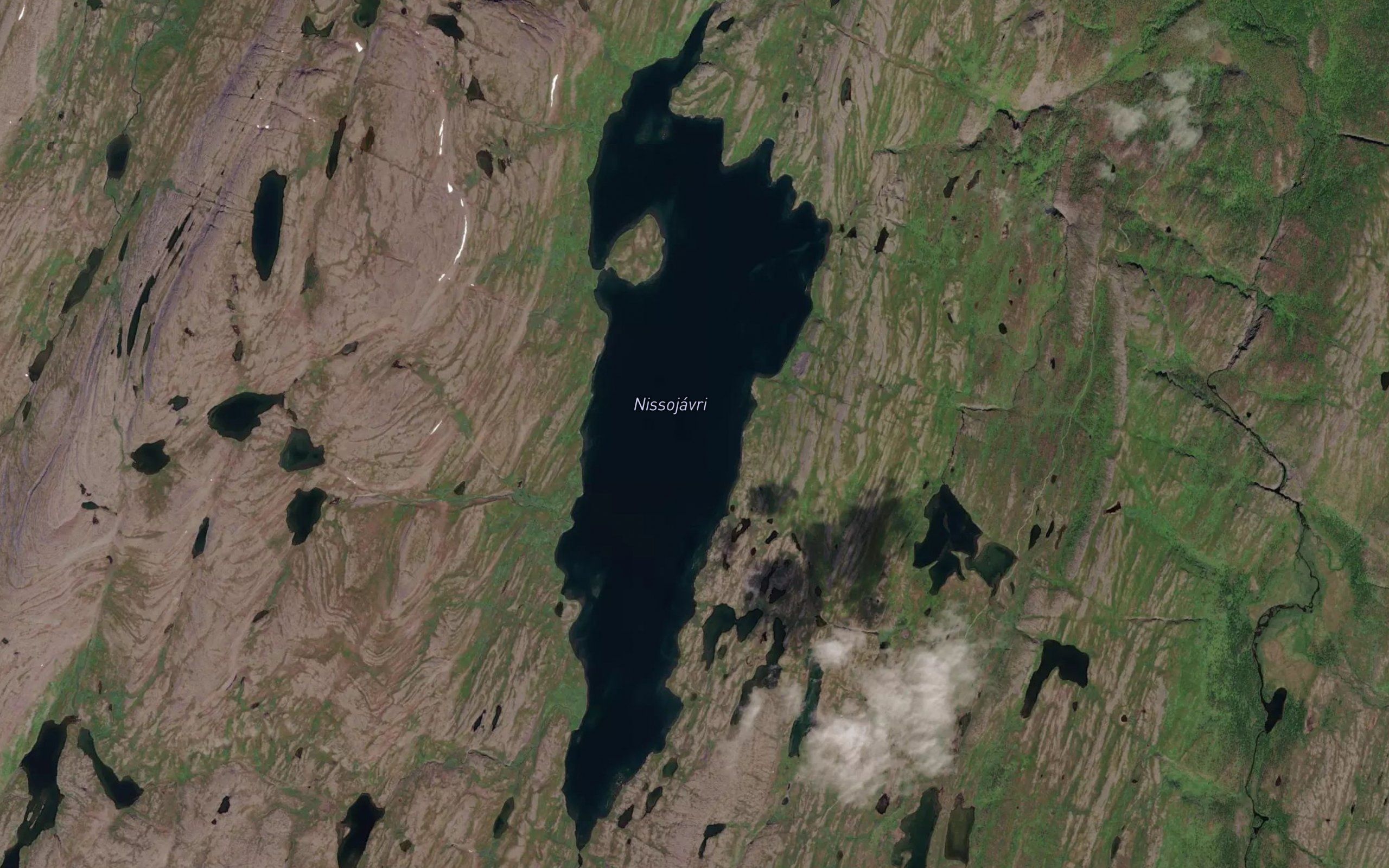 Nissujavri