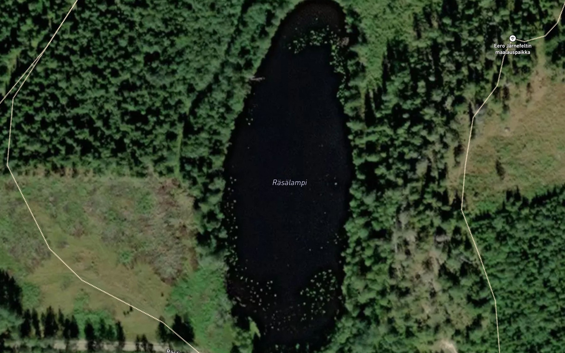 Satellite map of the Rasalampi