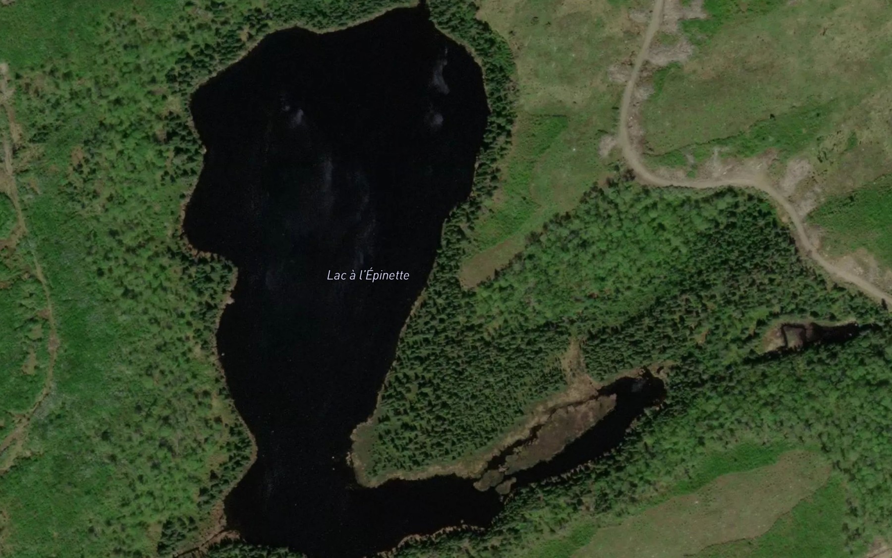 Satellite map of the Lac a l'Epinette