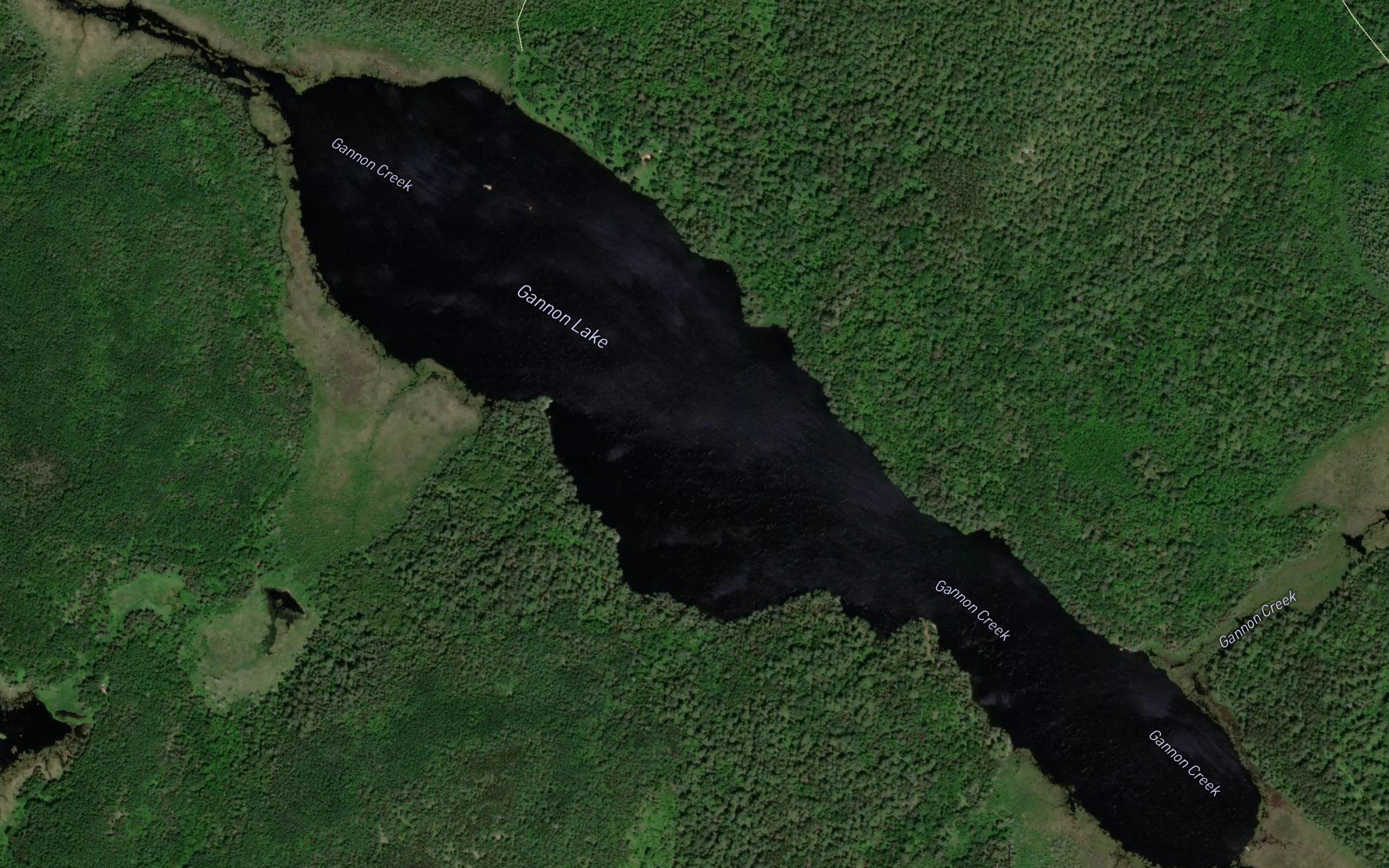 Gannon Lake