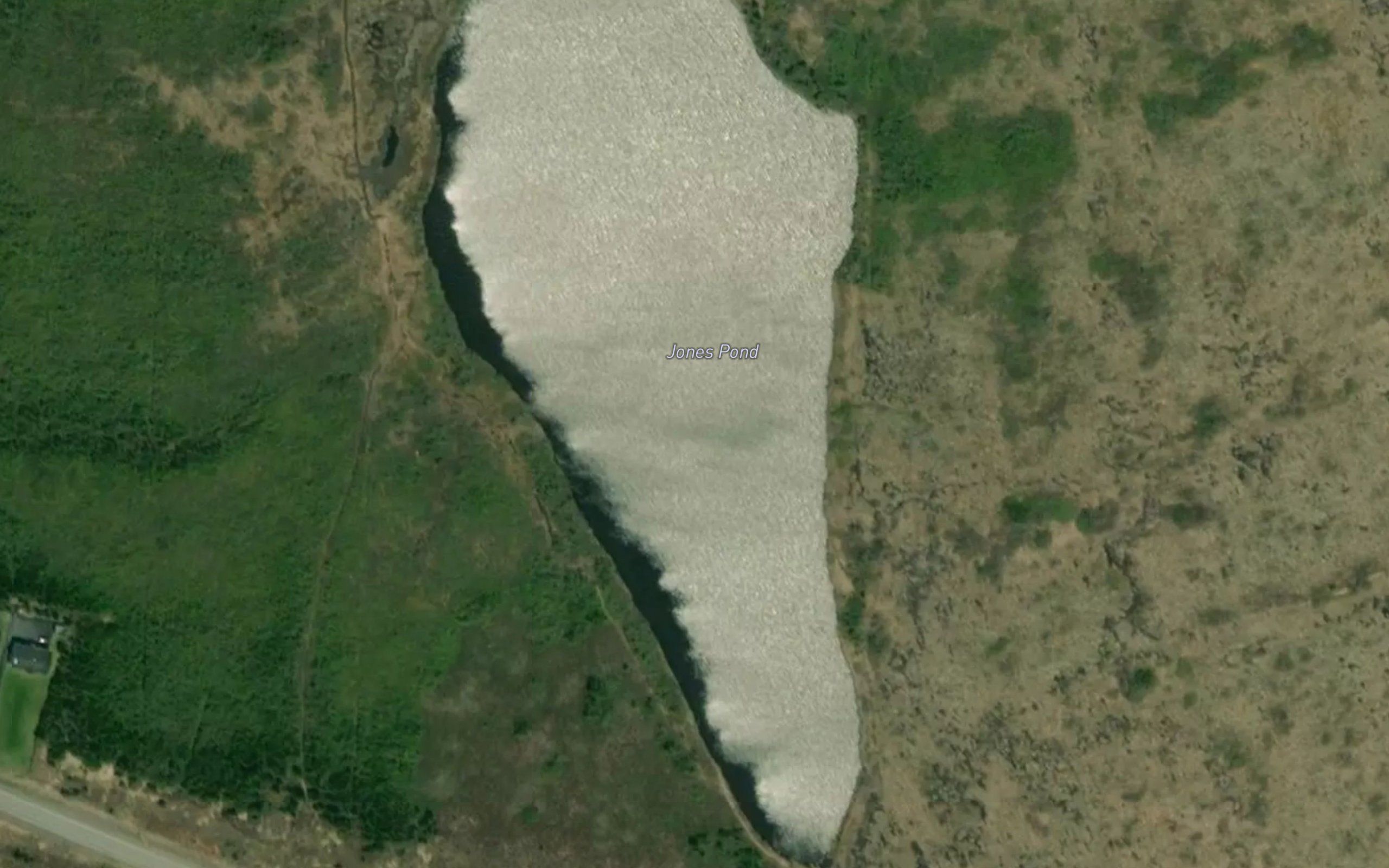 Jones Pond